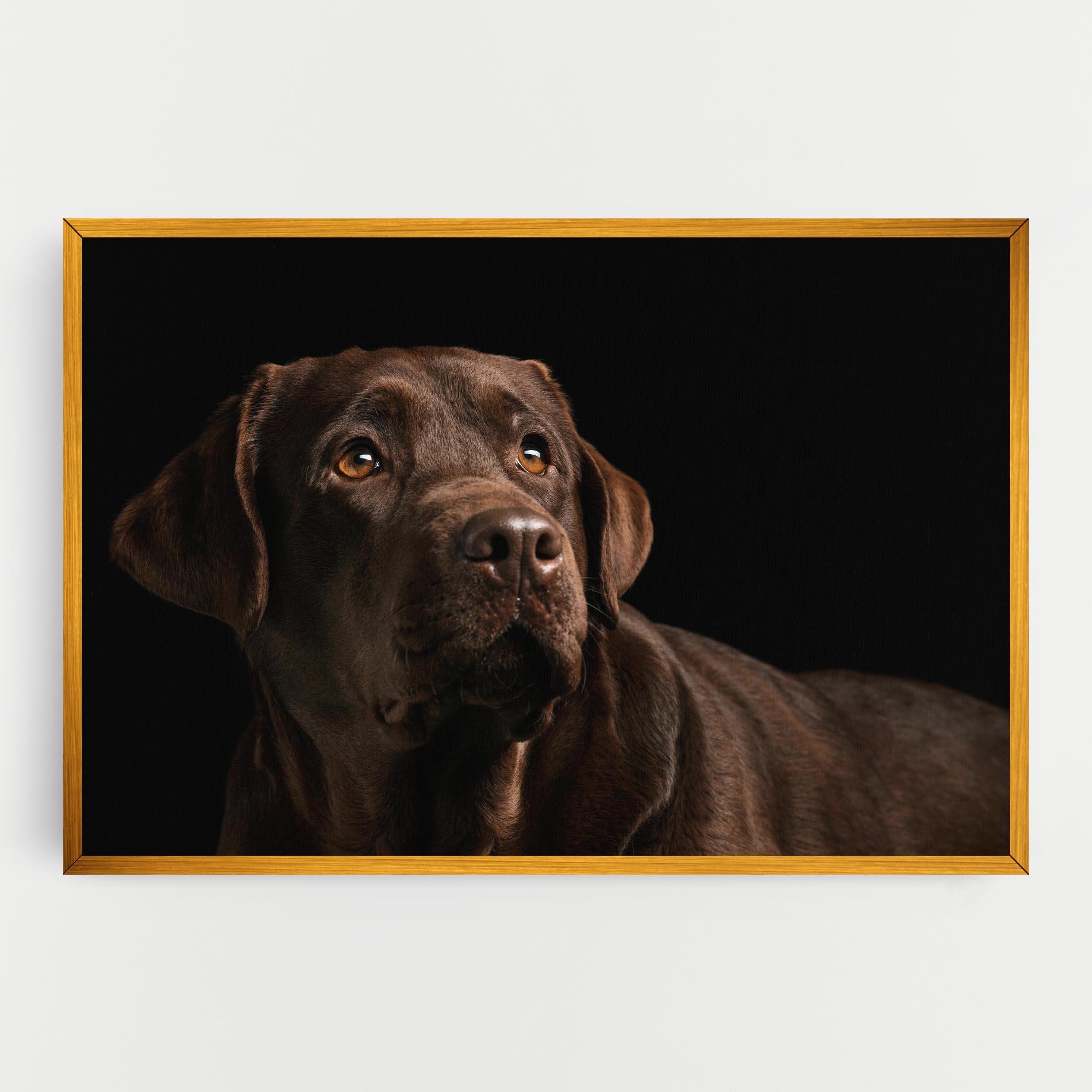 Leinwandbild Brown Labrador mockup 0