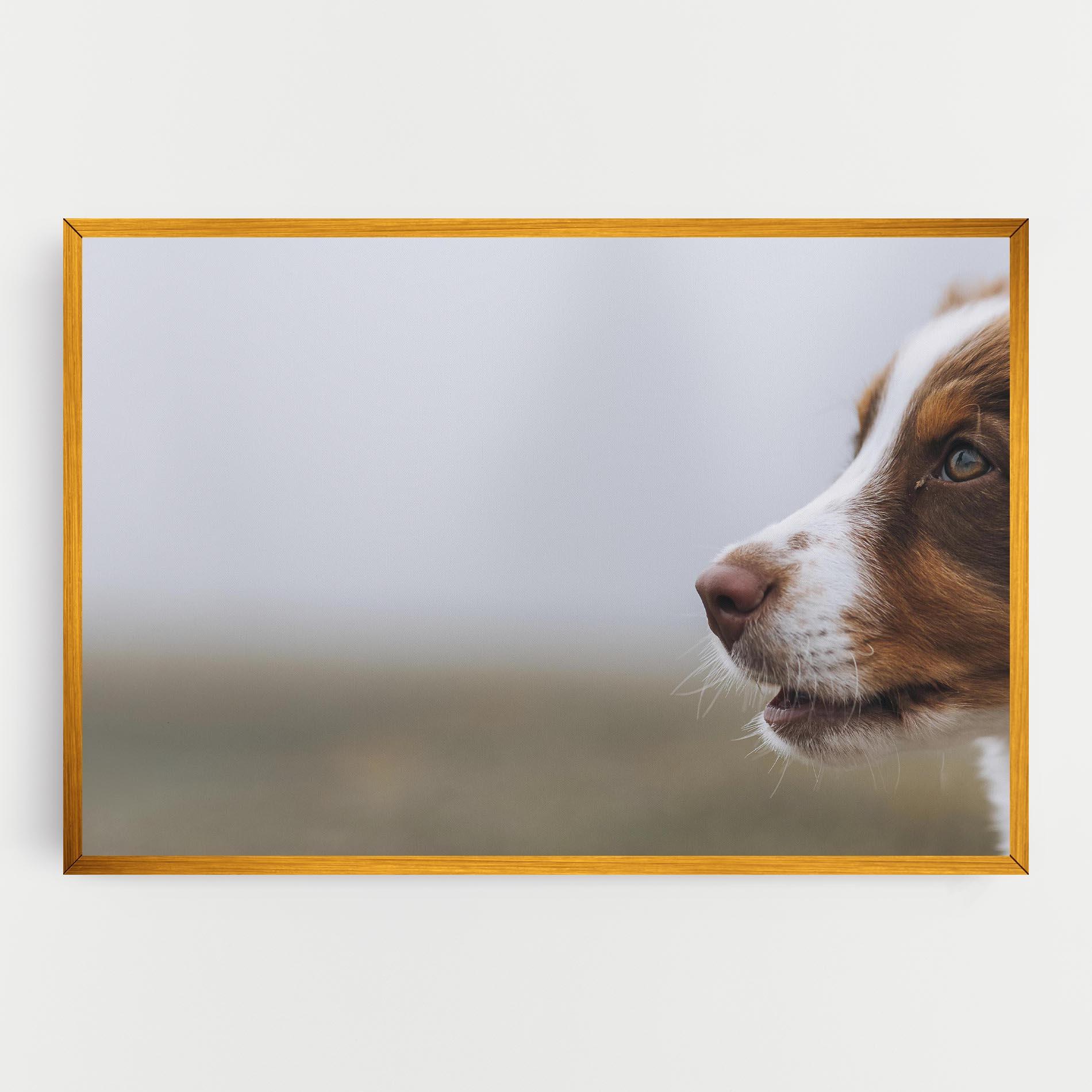 Leinwandbild Brown White Dog mockup 0