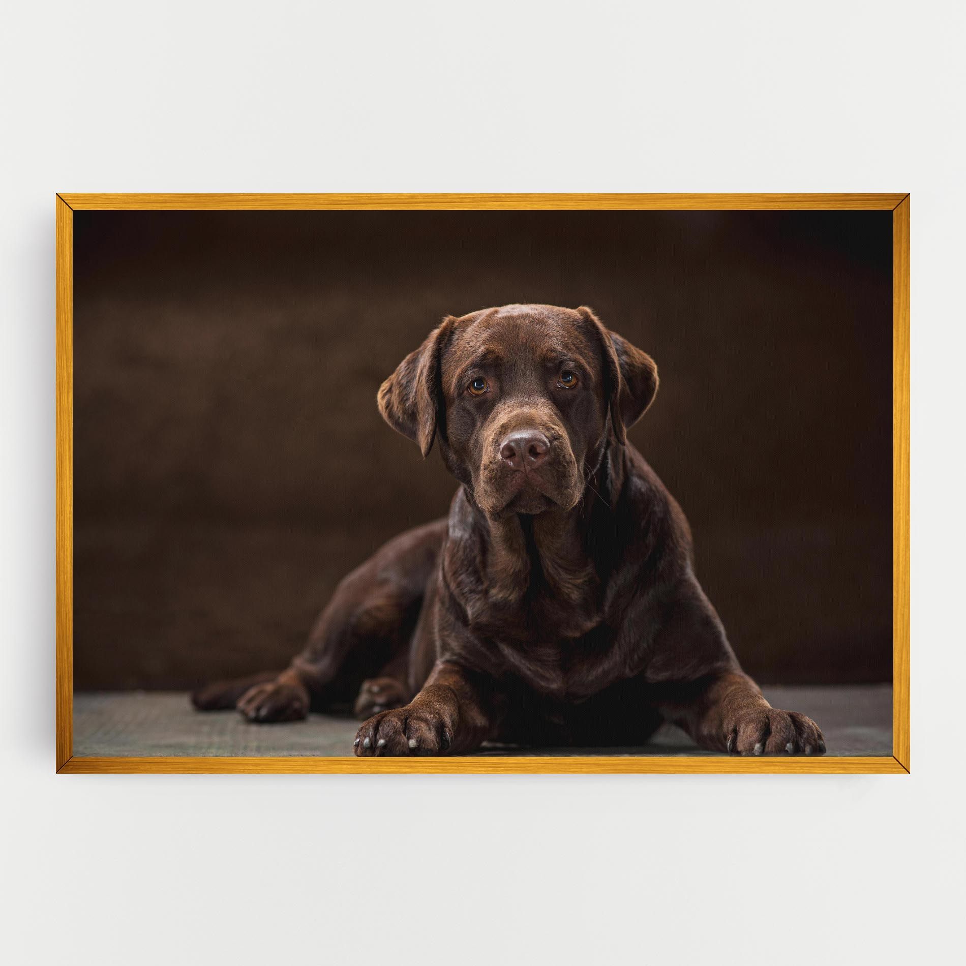 Cute  Brown Labrador mockup 0