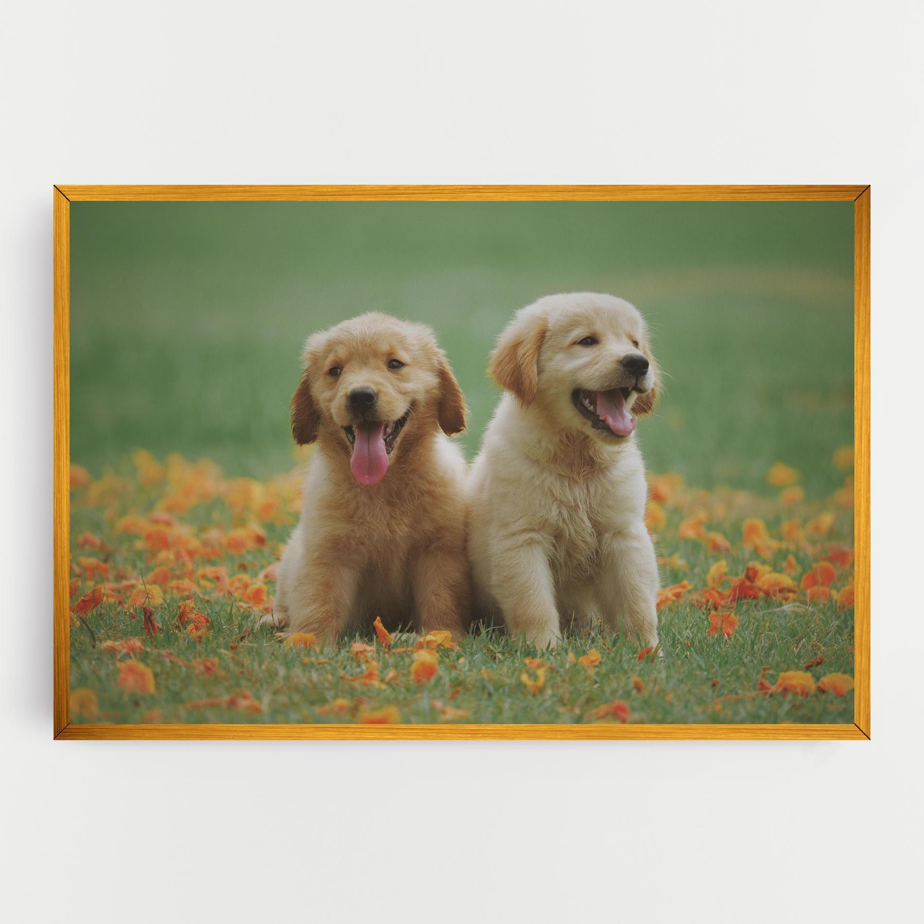 Happy Dogs mockup 0