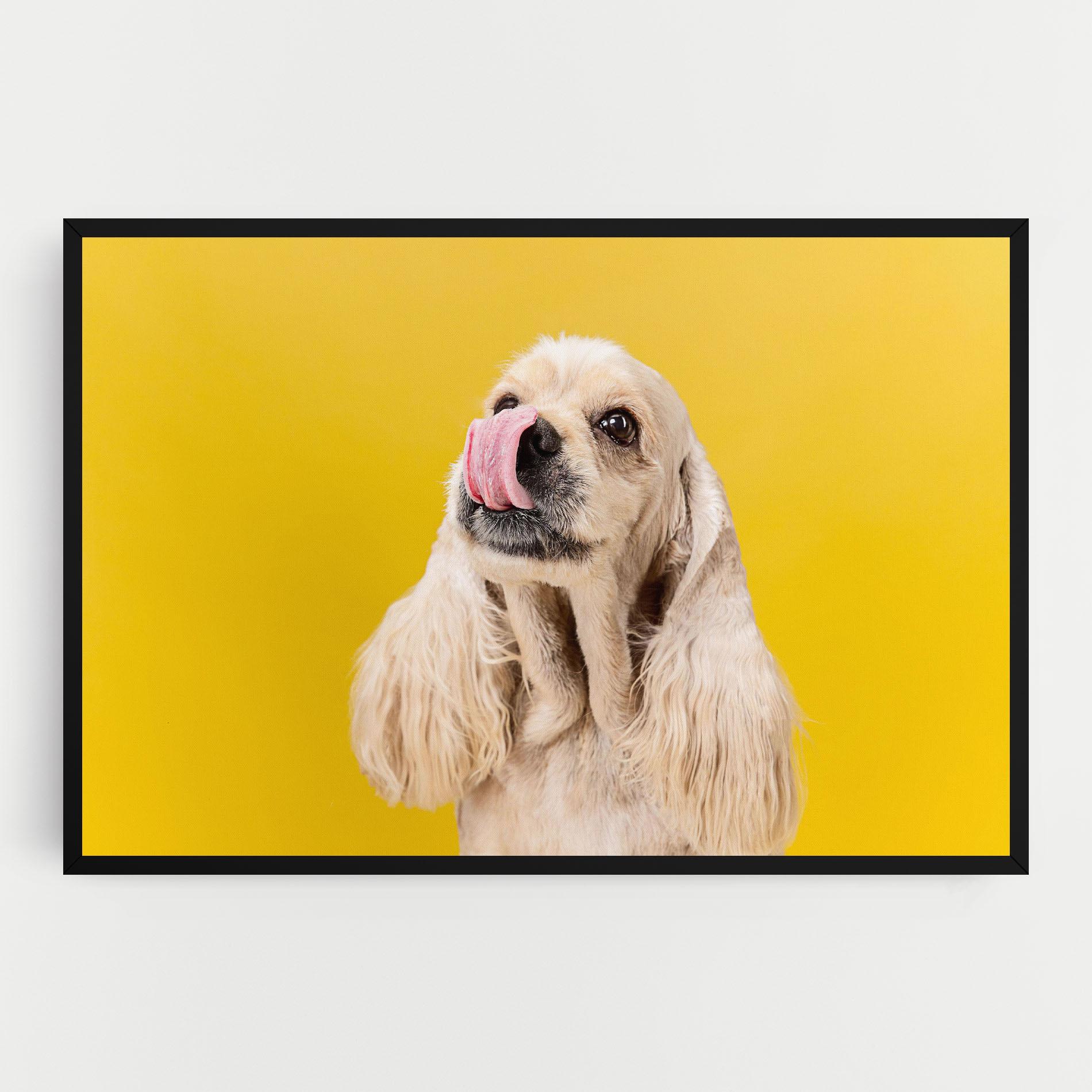 Leinwandbild American Spaniel mockup 0