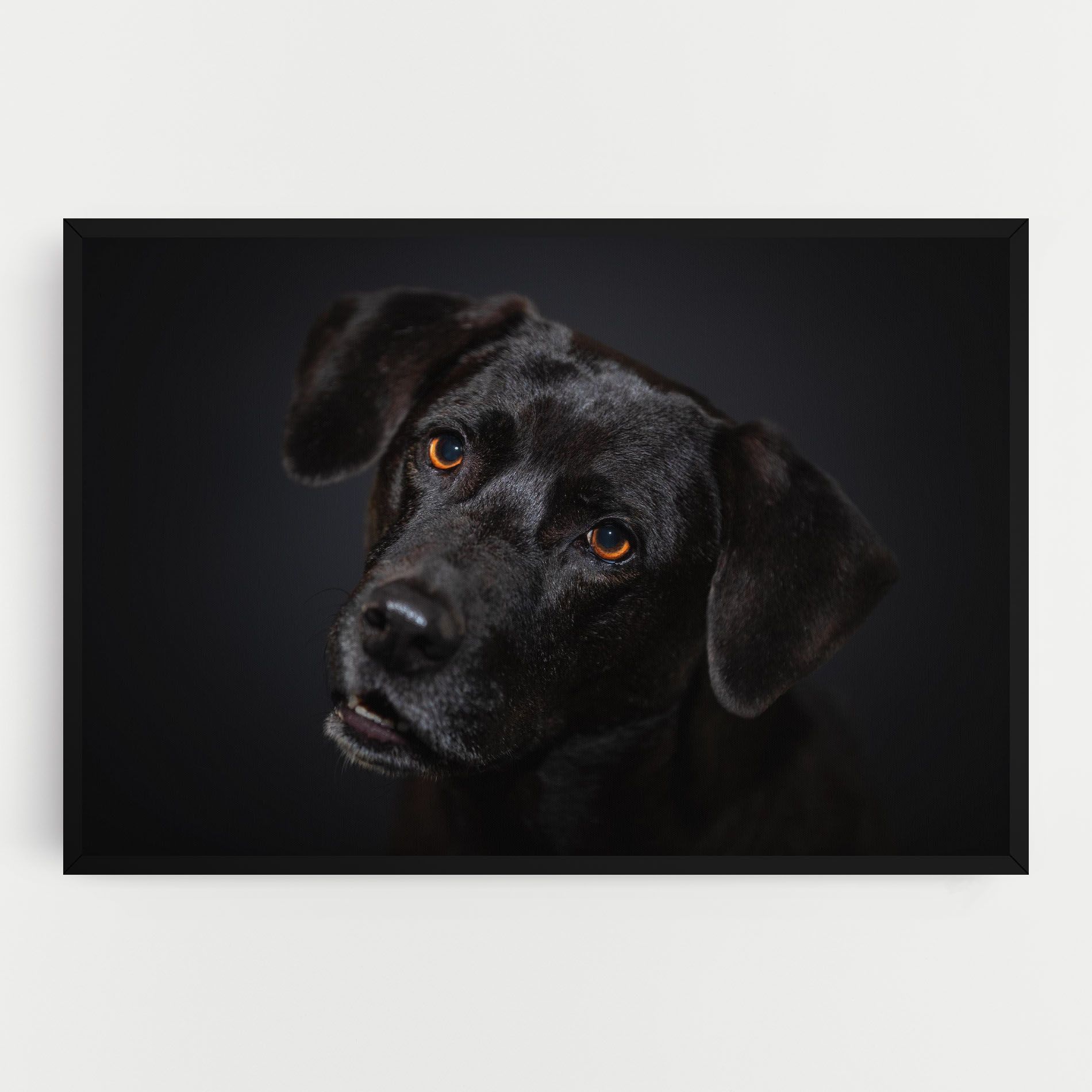 Black Dog Portrait mockup 0