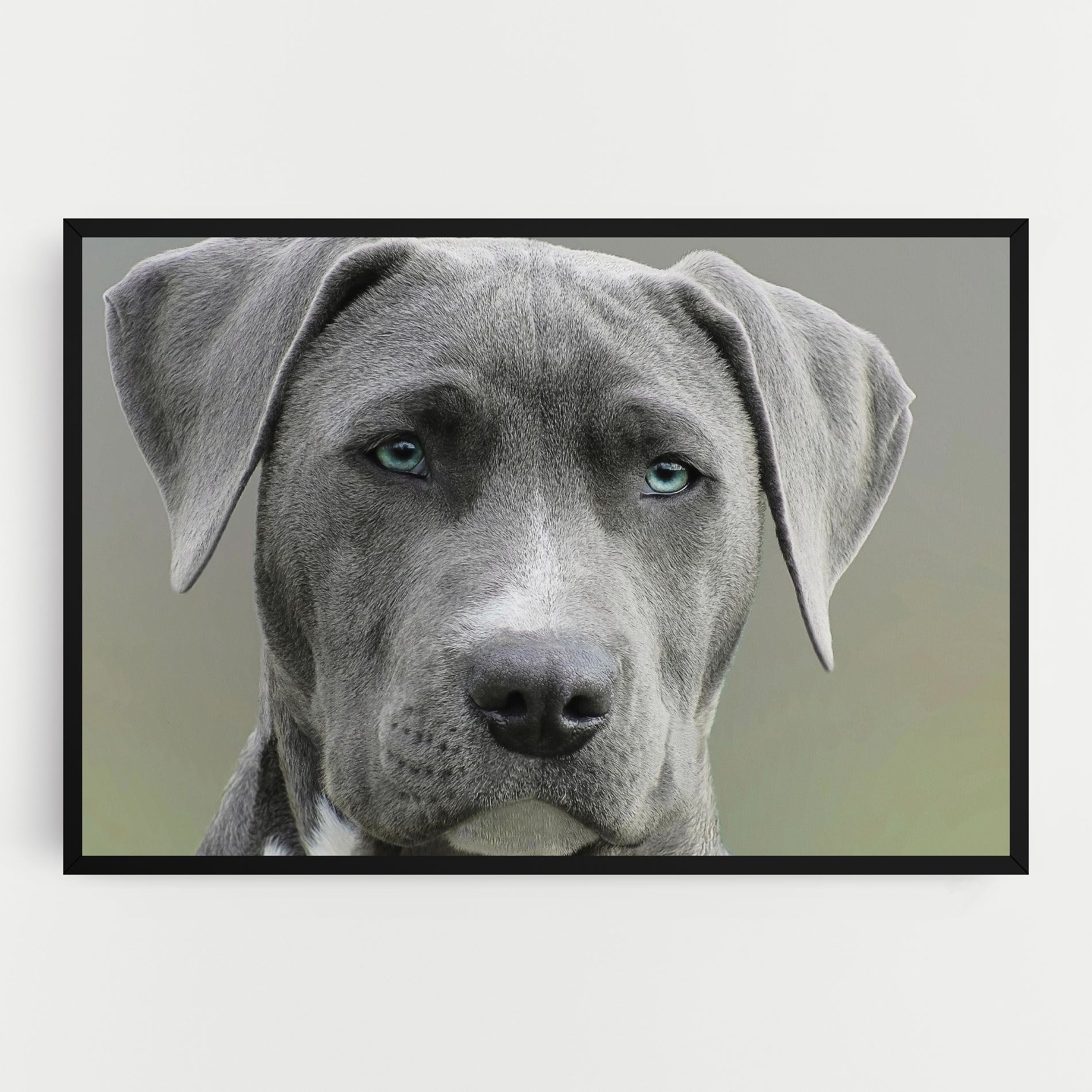 Blue Eyes Dog mockup 0