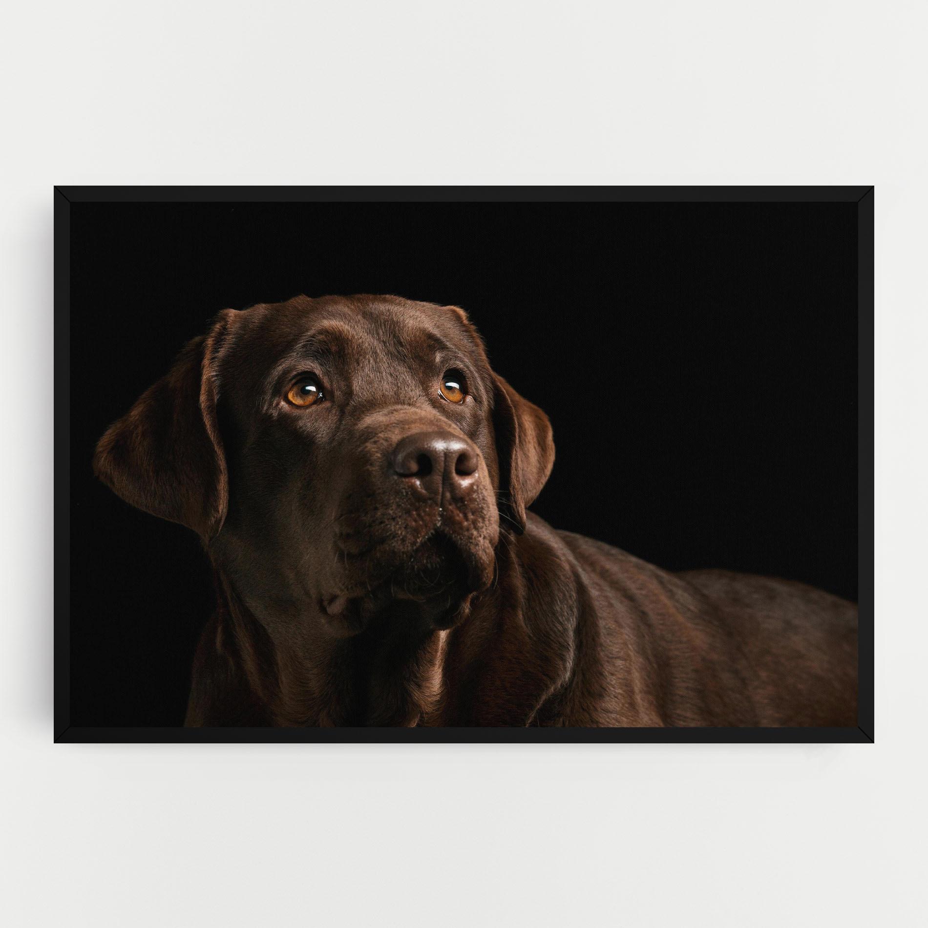 Leinwandbild Brown Labrador mockup 0