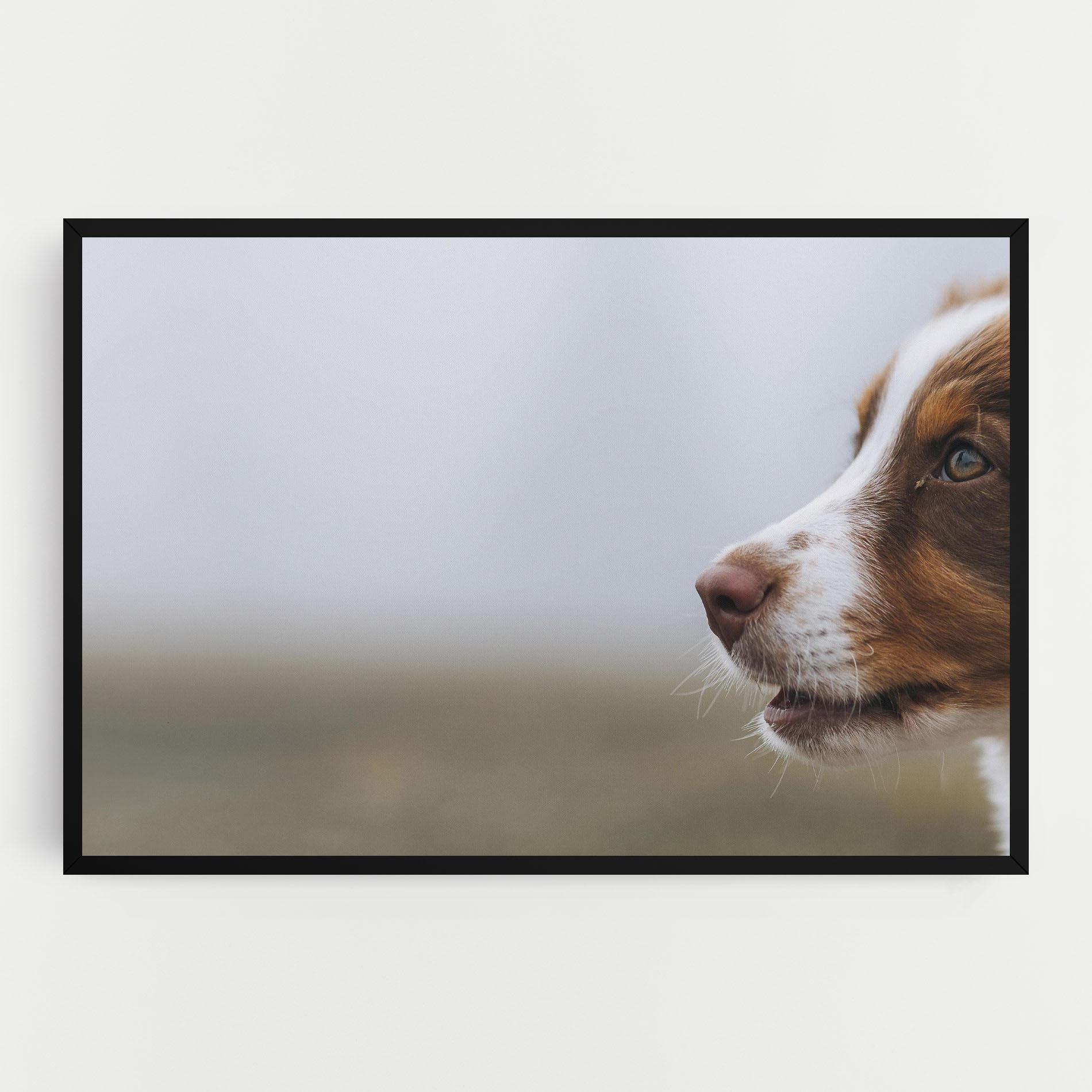Leinwandbild Brown White Dog mockup 0