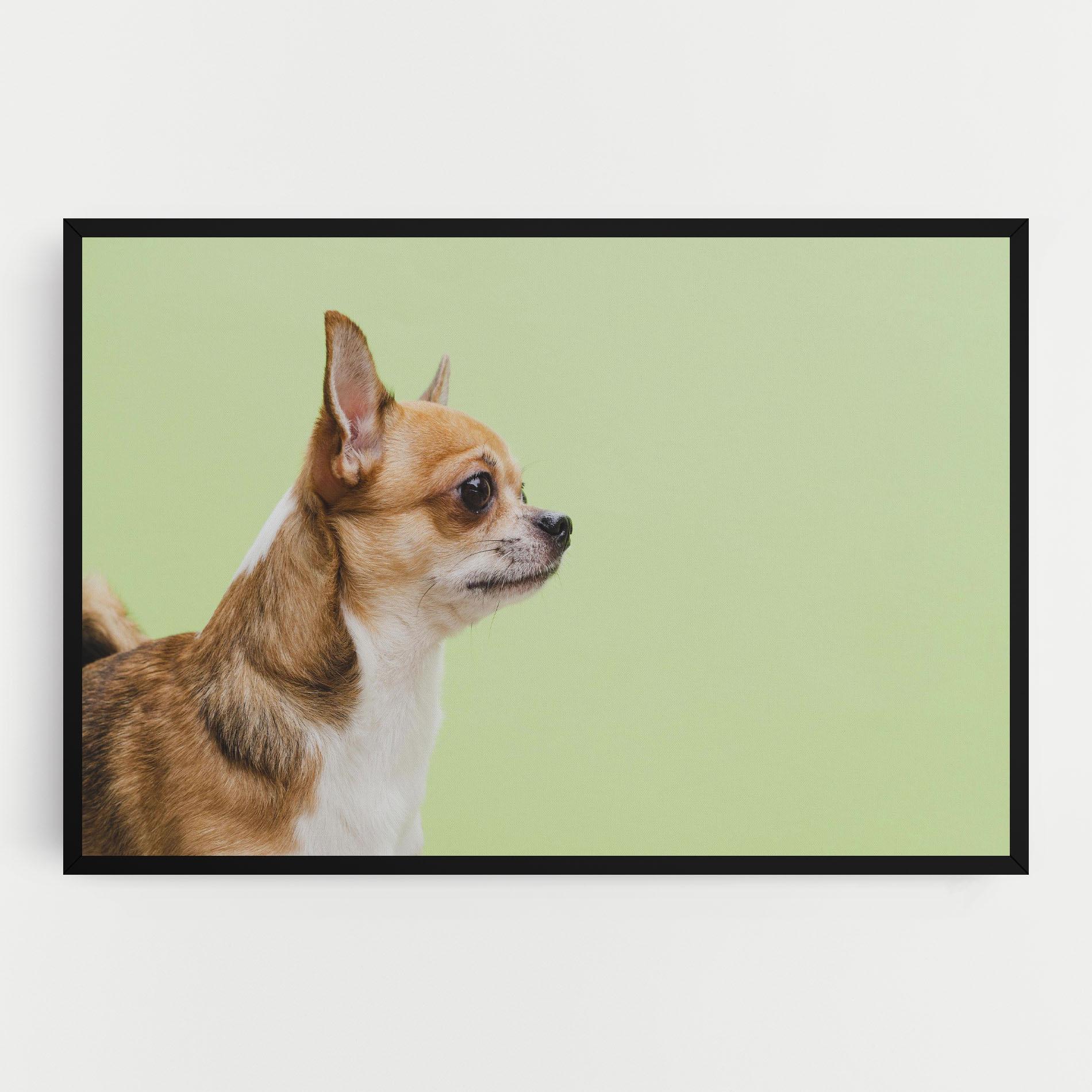 Leinwandbild Chihuahua Dog mockup 0