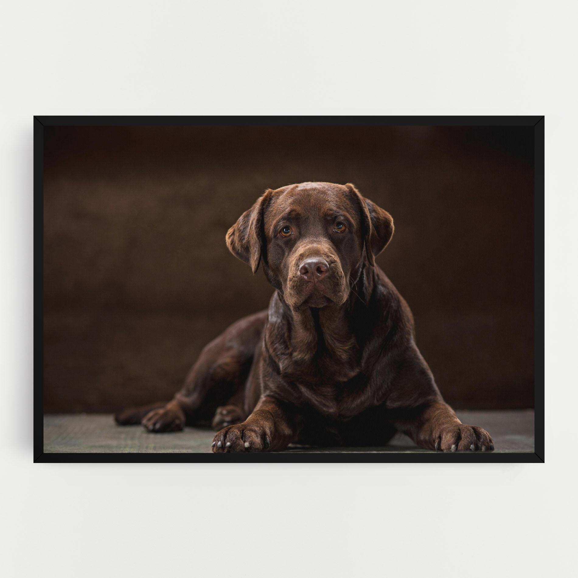 Leinwandbild Cute Brown Labrador mockup 0