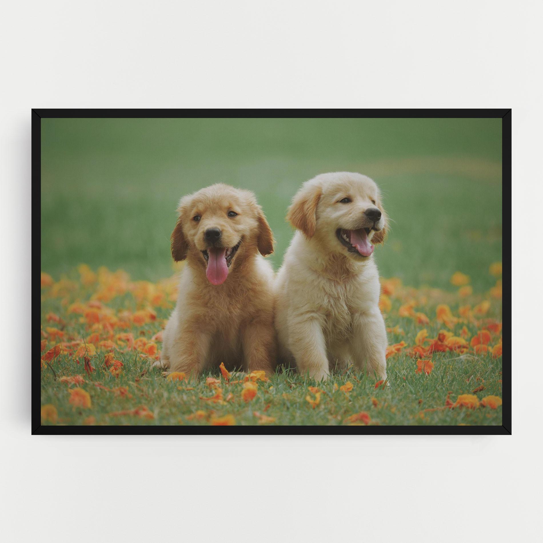 Leinwandbild Happy Dogs mockup 0