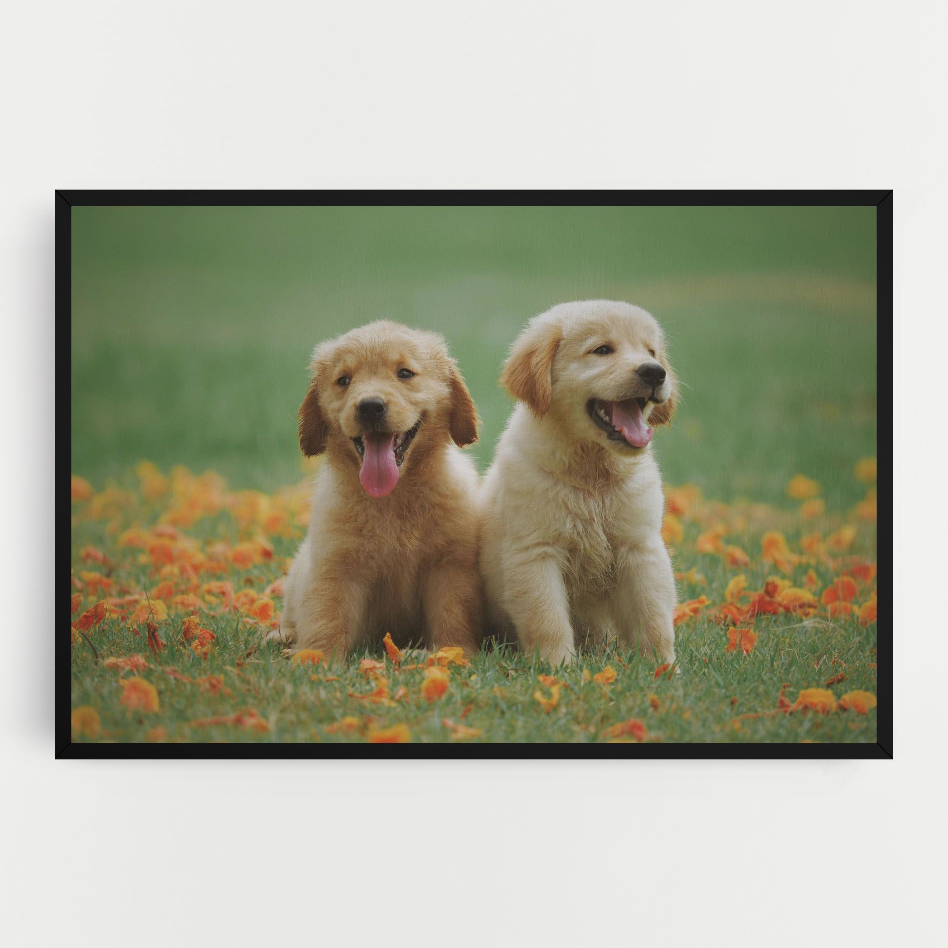 Happy Dogs mockup 0