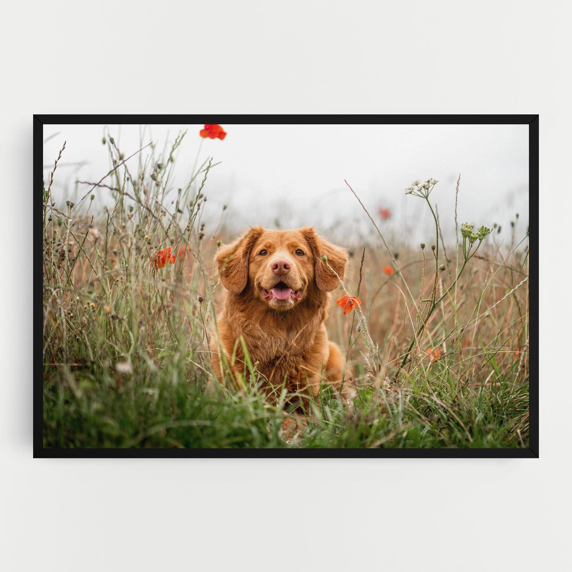 Leinwandbild Red Flowers Dog mockup 0