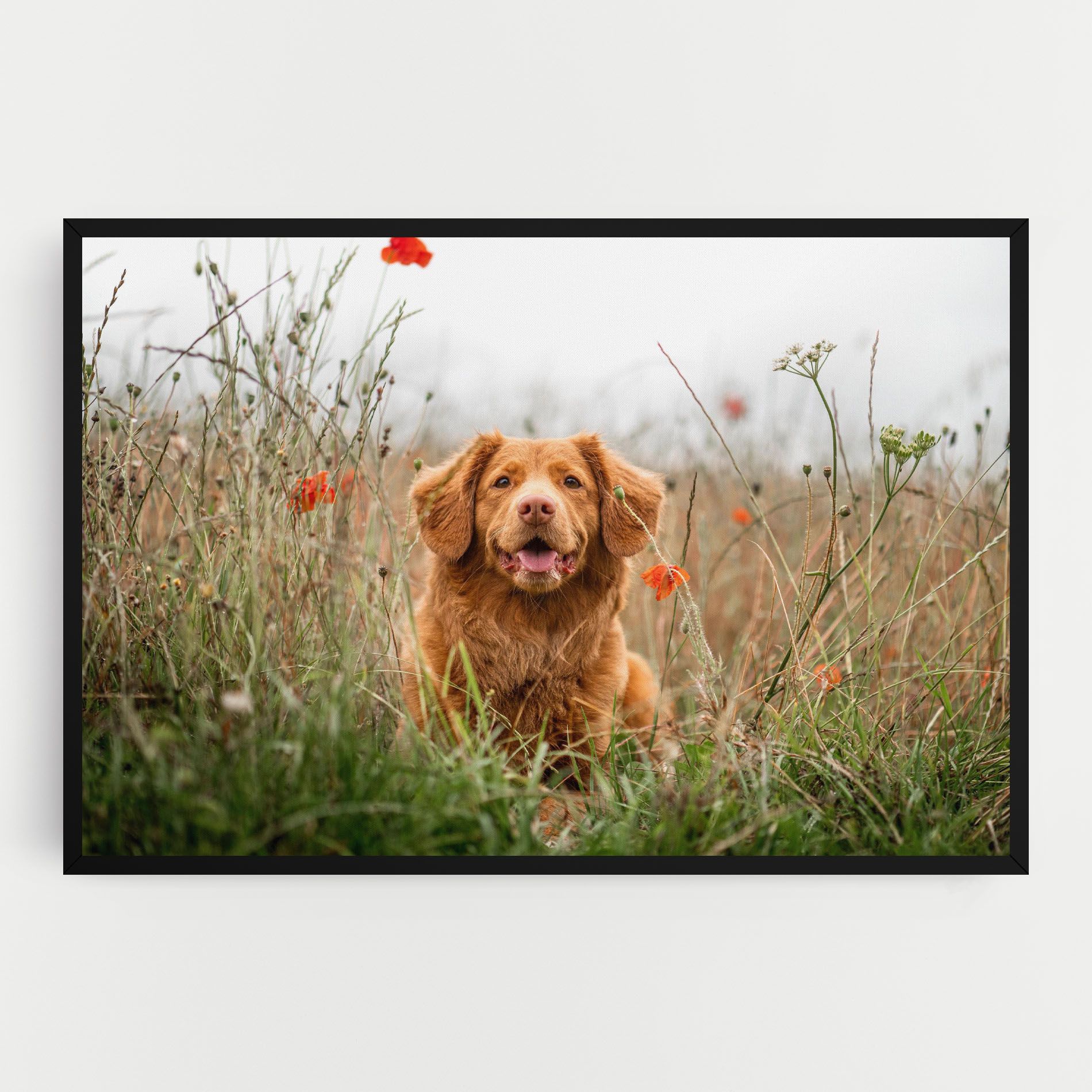 Red Flowers Dog mockup 0