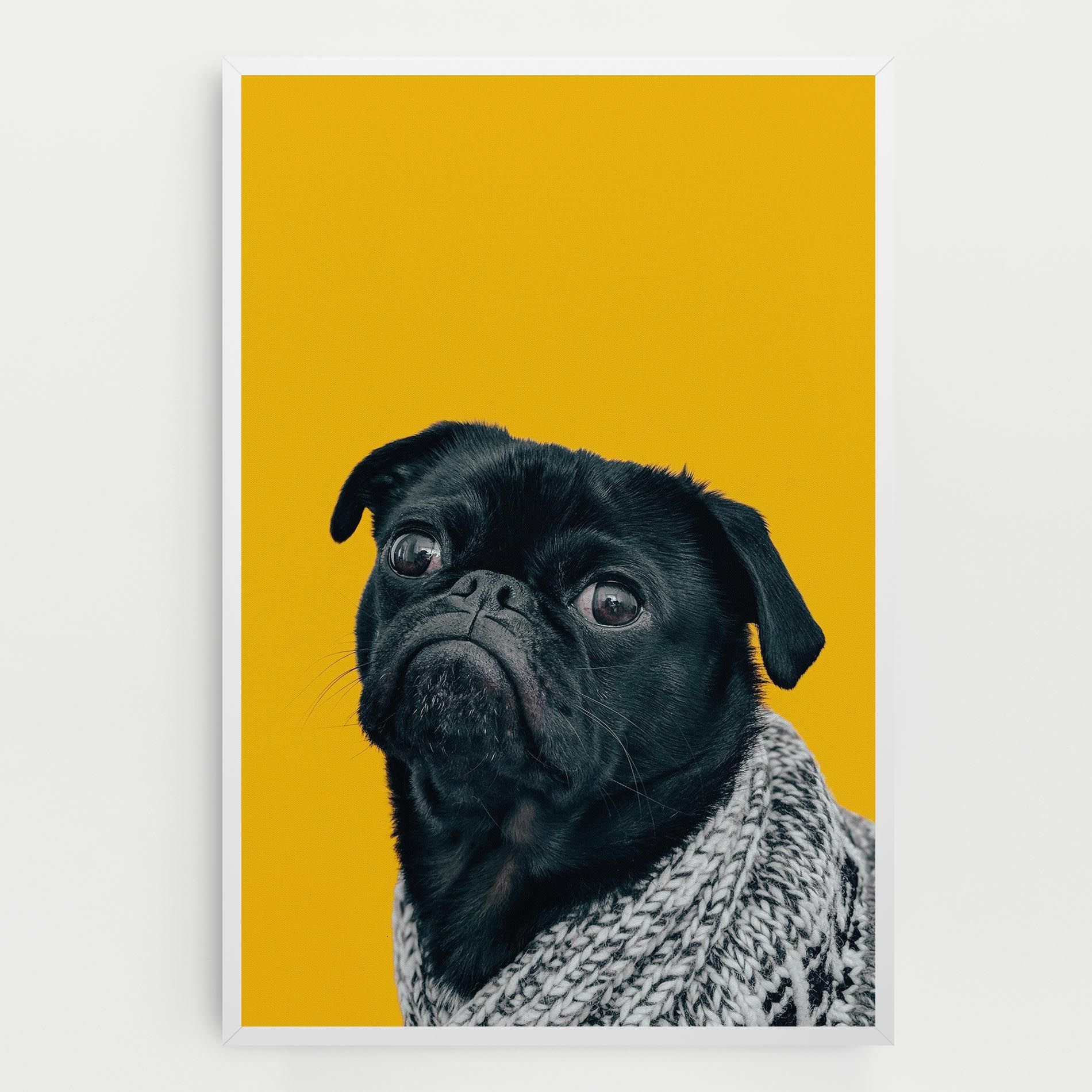 Black Pug mockup 0