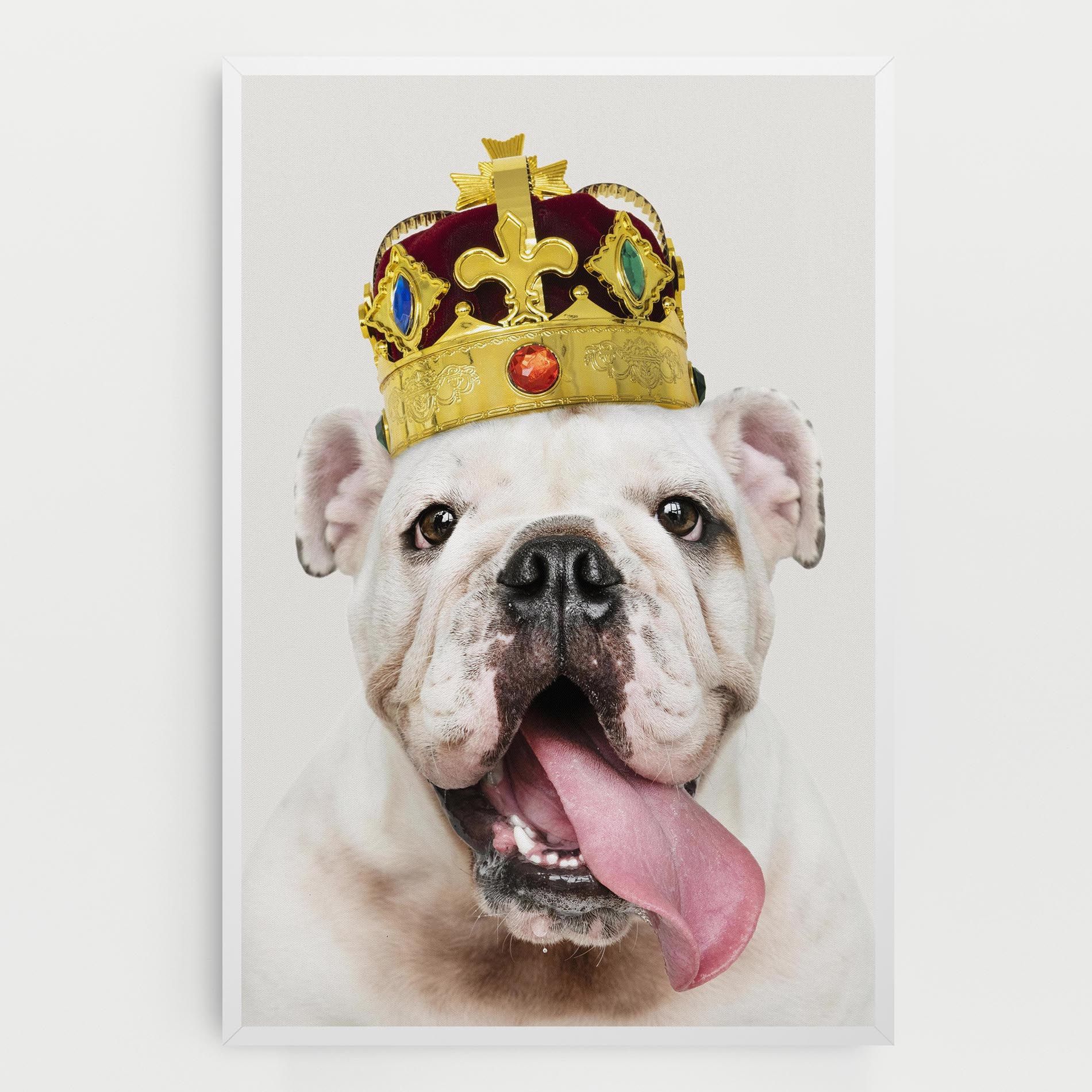 Bulldog Wearing Crown mockup 0
