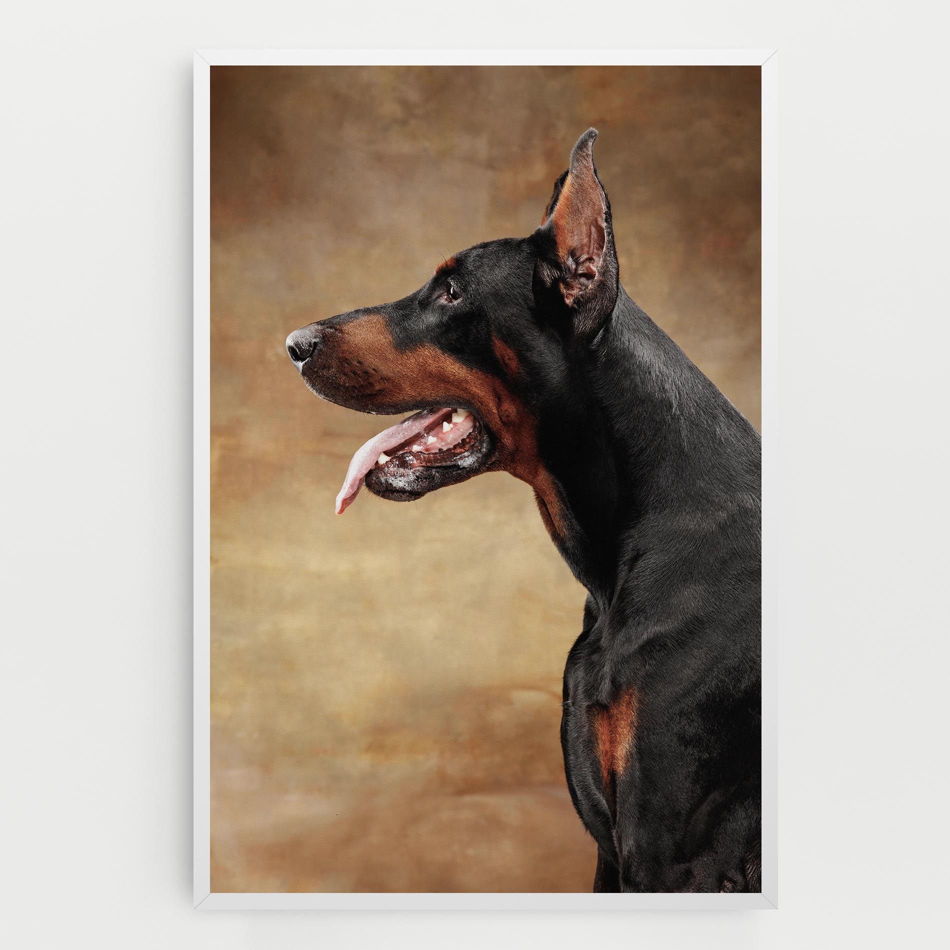 Doberman Pinscher mockup 0