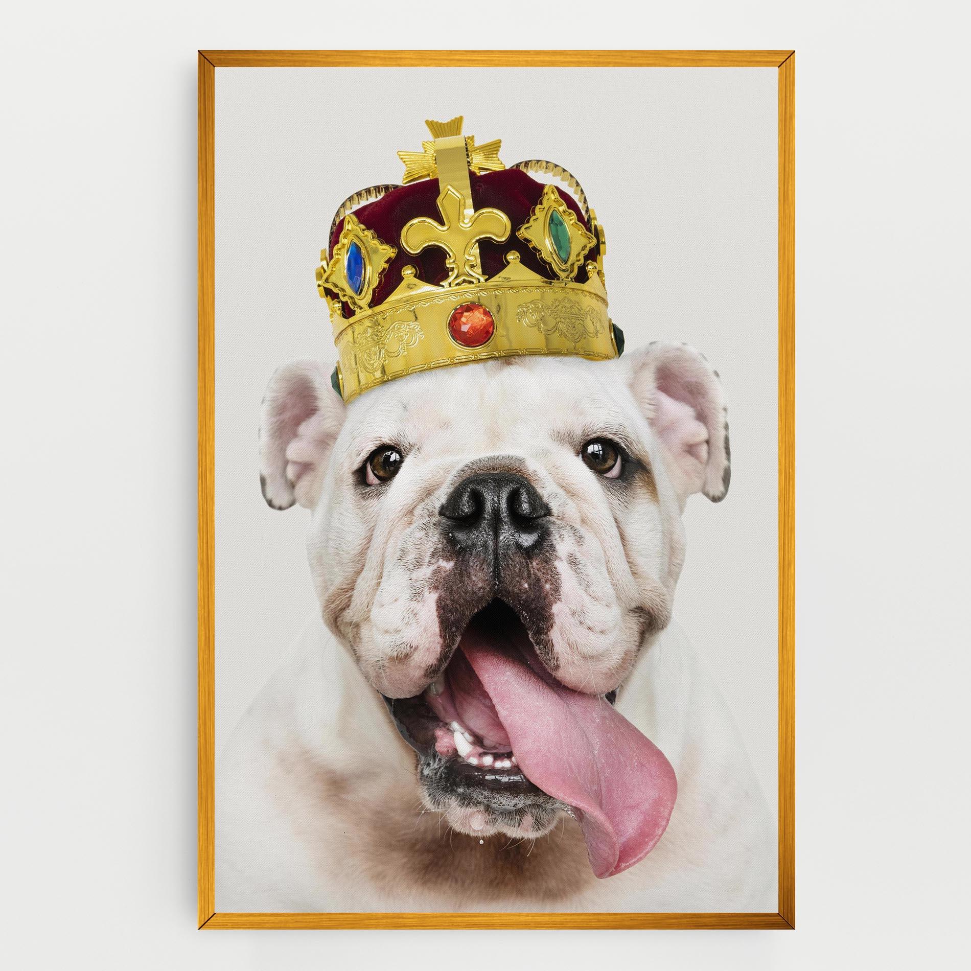 Leinwandbild Bulldog Wearing Crown mockup 0