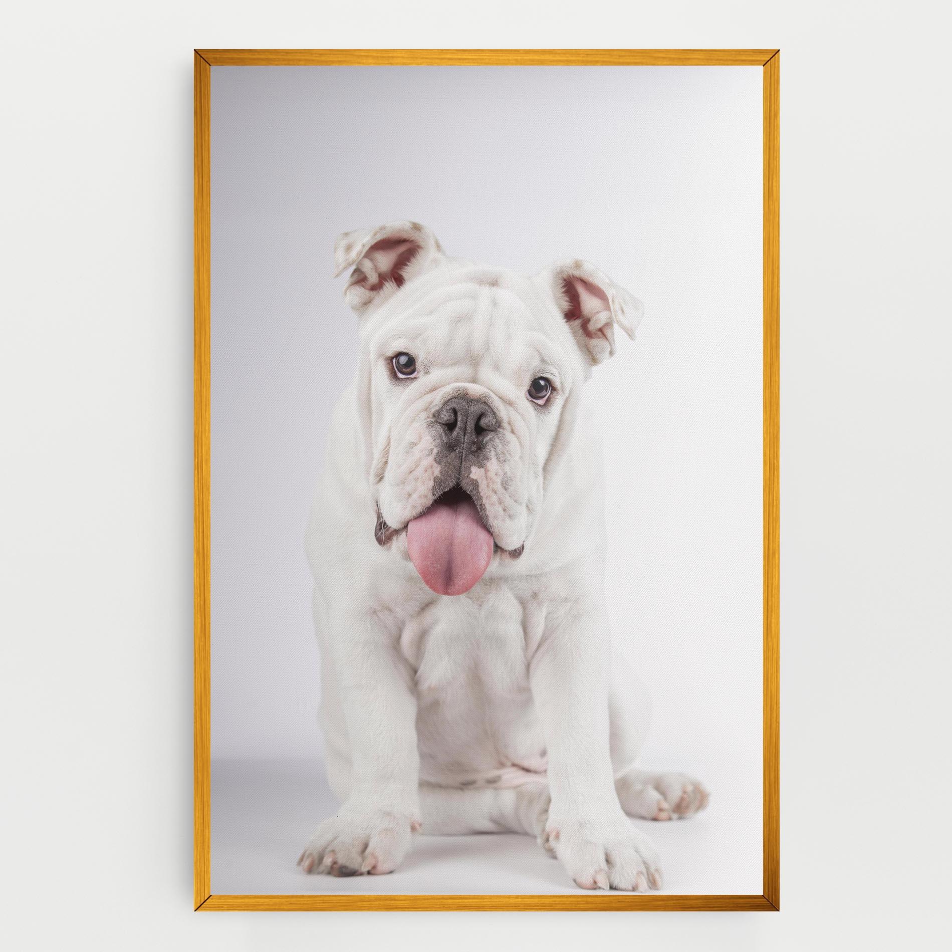 Leinwandbild English Bulldog mockup 0