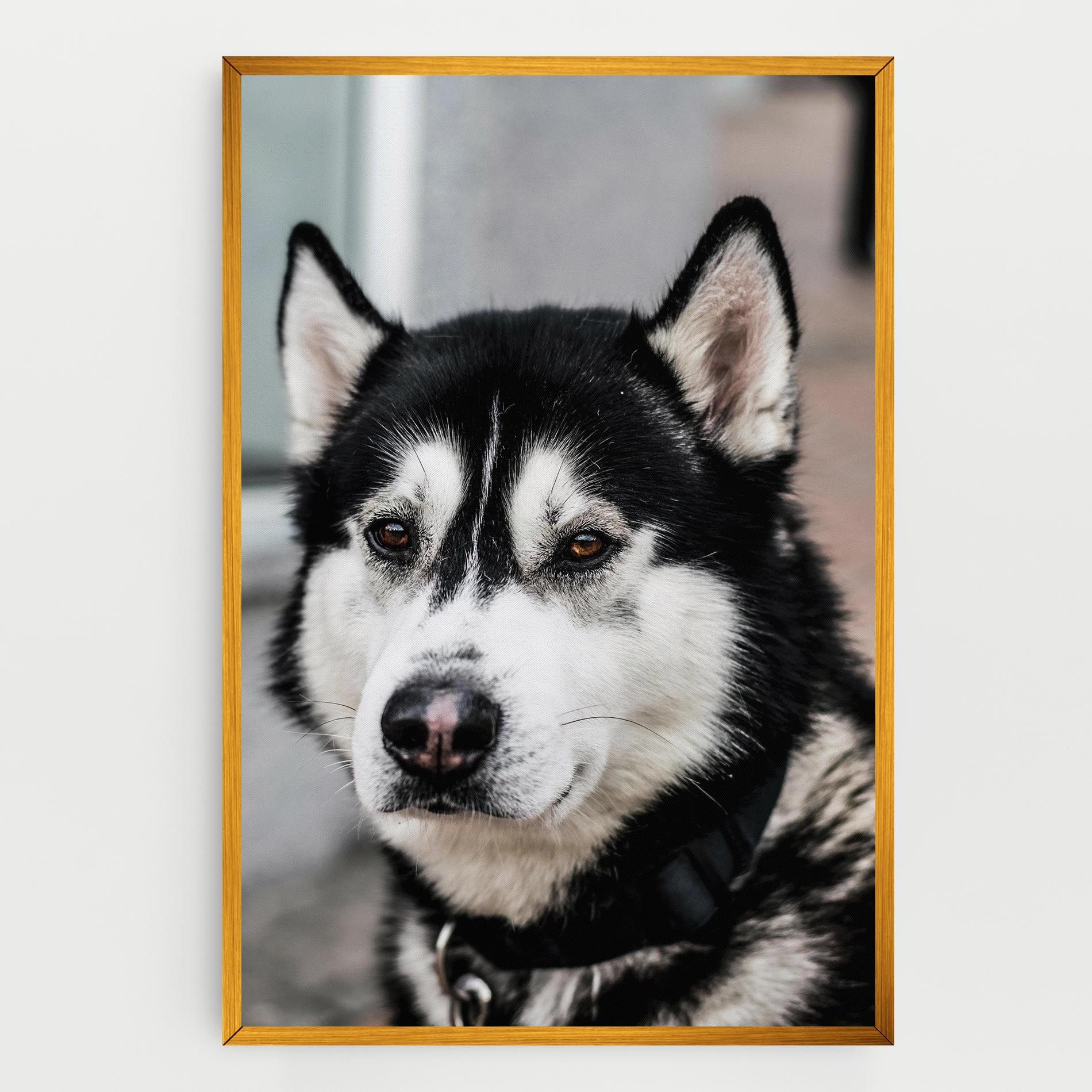 Husky Dog mockup 0