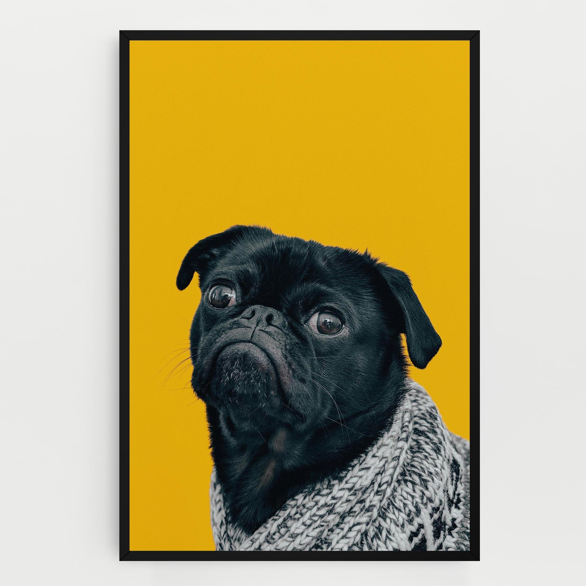 Leinwandbild Black Pug mockup 0