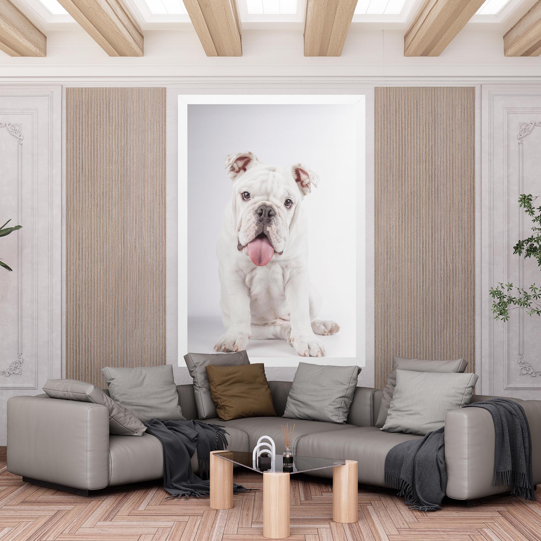 Leinwandbild English Bulldog mockup 6