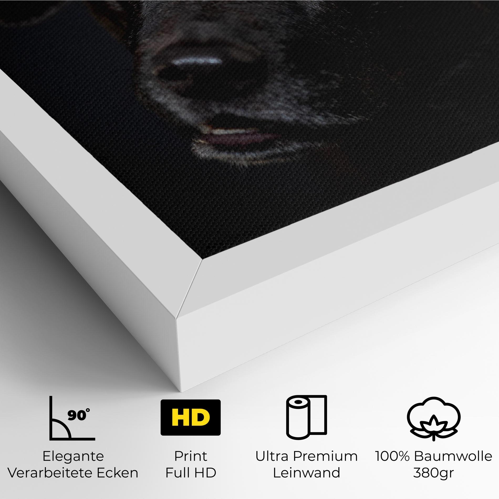 Leinwandbild Black Dog Portrait mockup 4