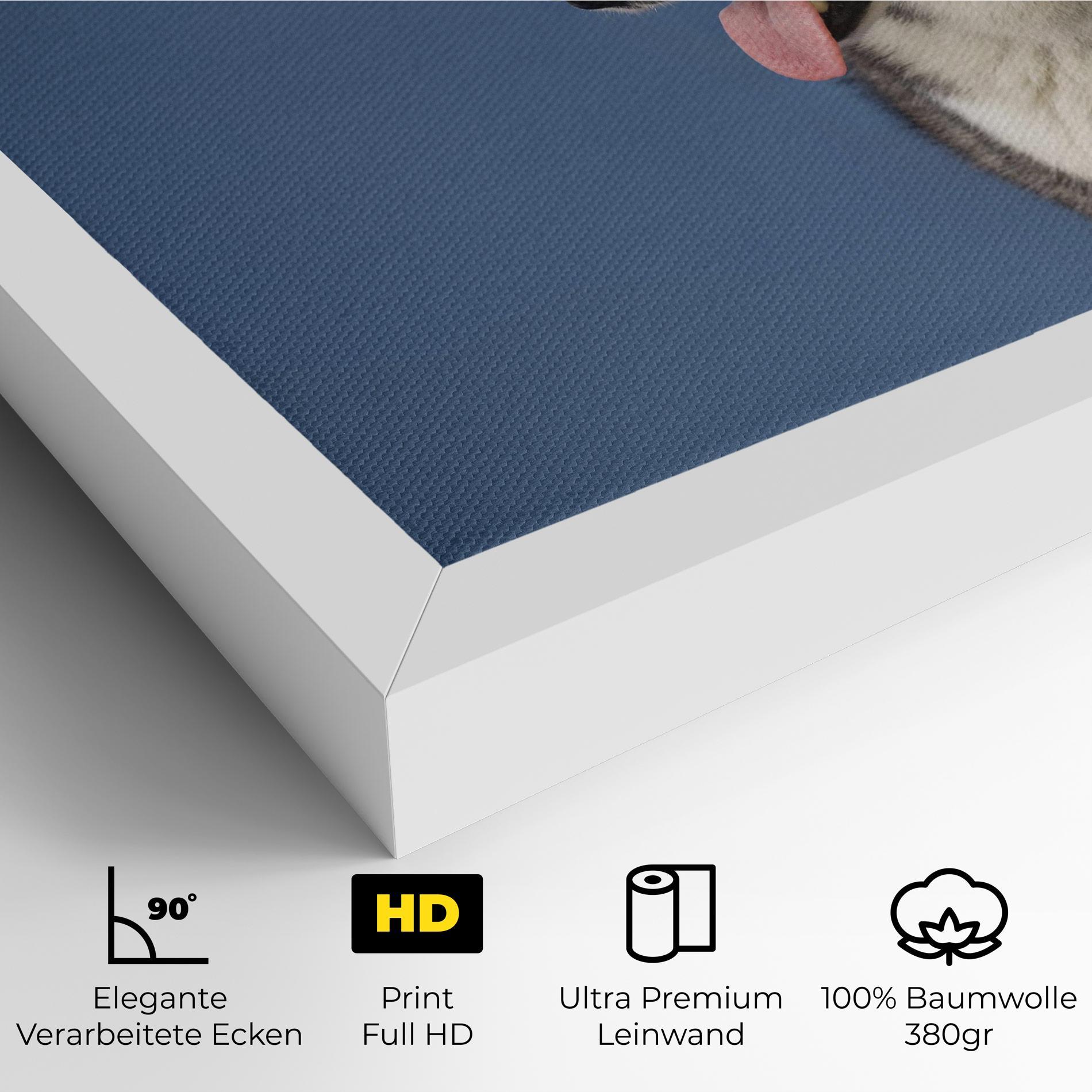 Leinwandbild Blue Glasses Dog mockup 4