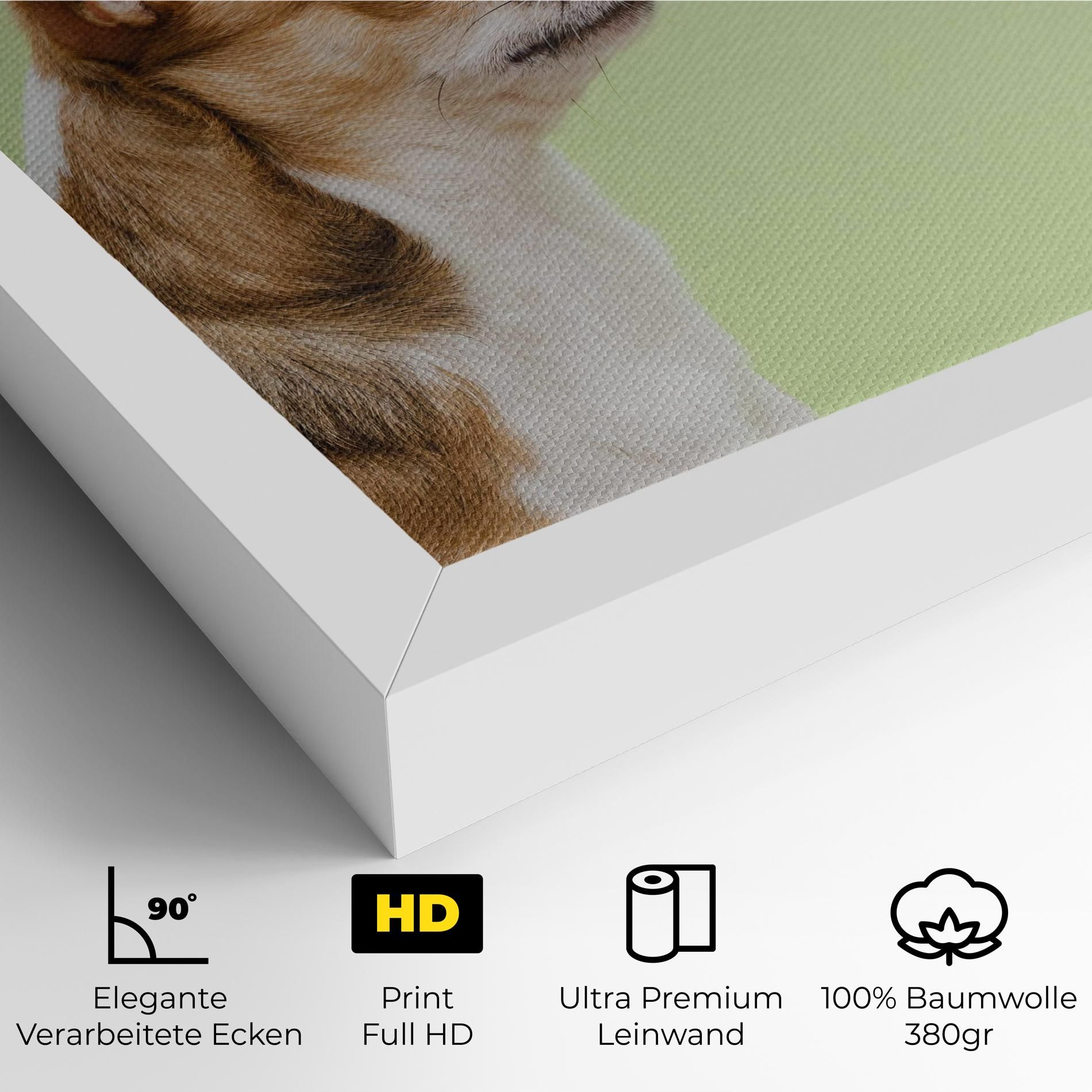 Chihuahua Dog mockup 4