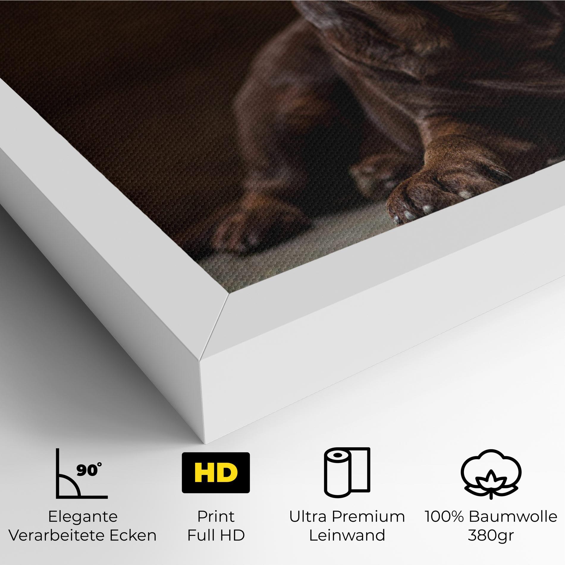 Leinwandbild Cute Brown Labrador mockup 4
