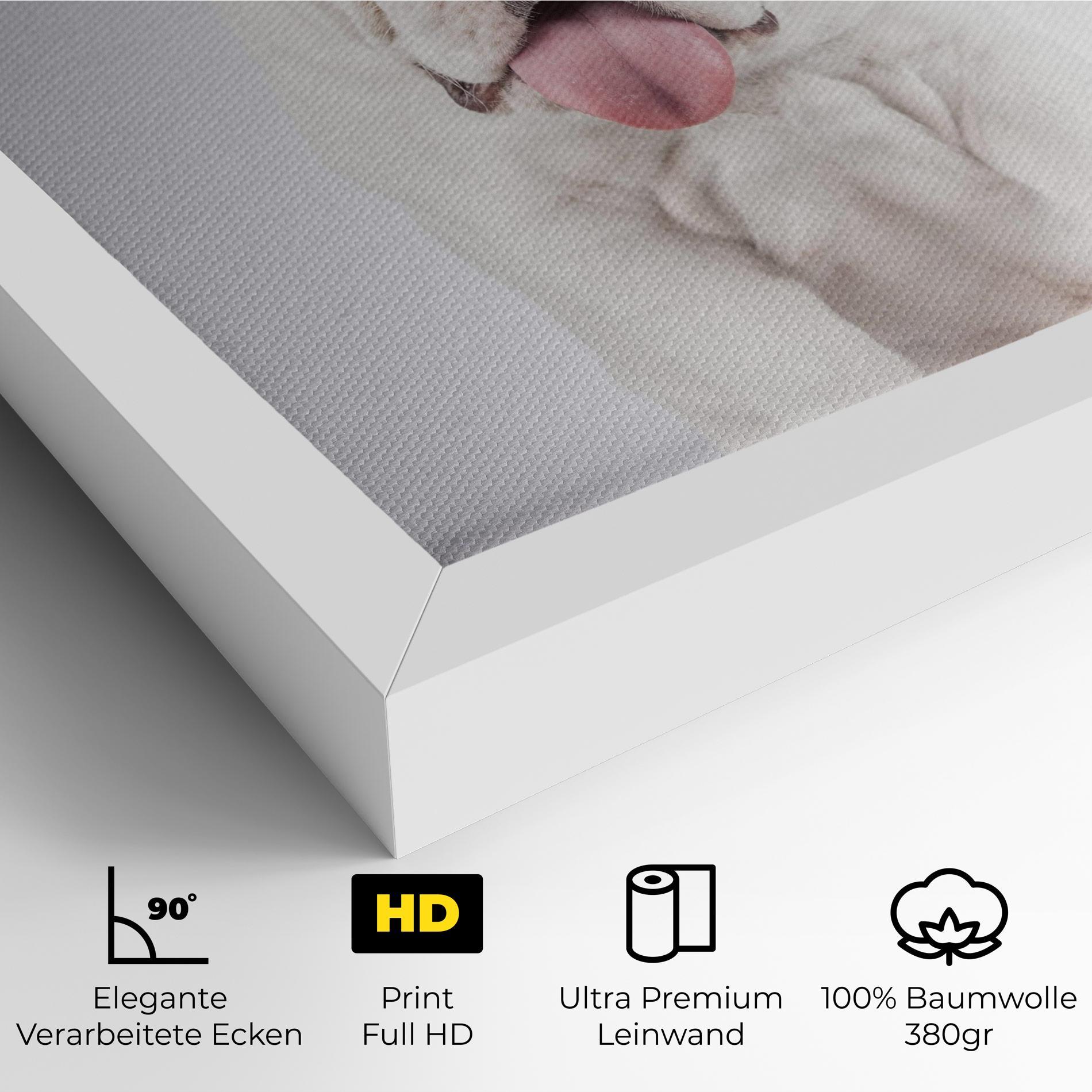 Leinwandbild English Bulldog mockup 4