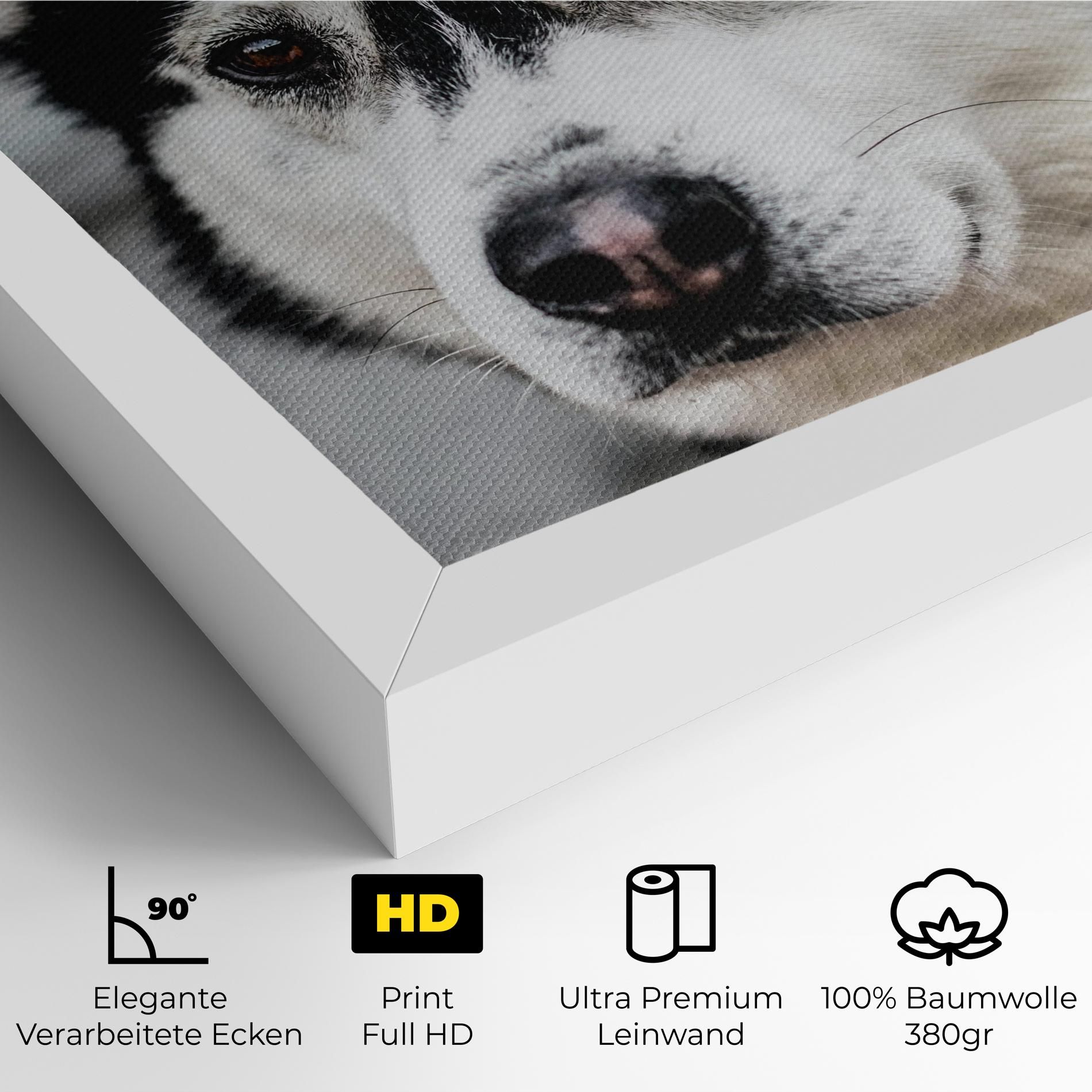 Husky Dog mockup 4