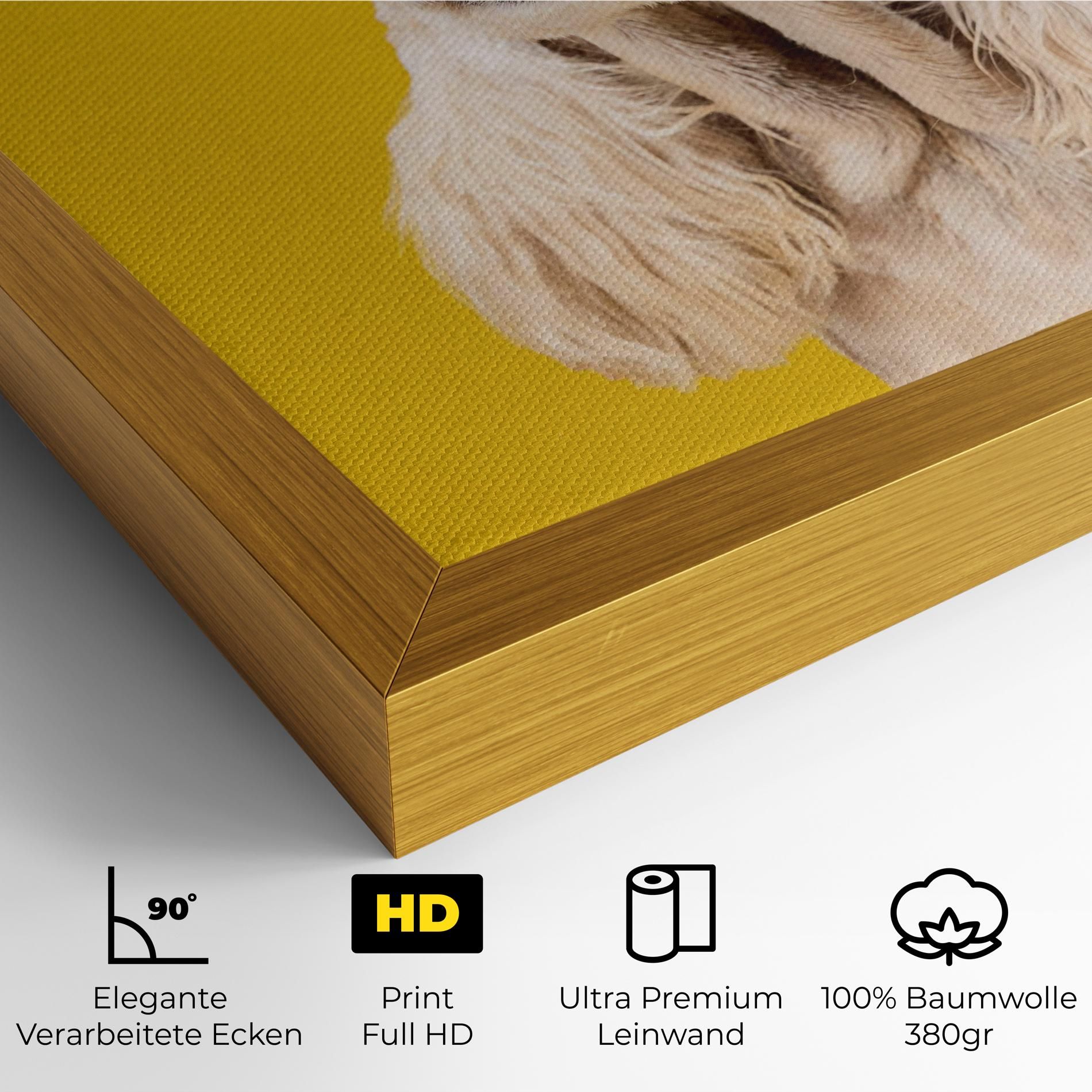 American Spaniel mockup 4