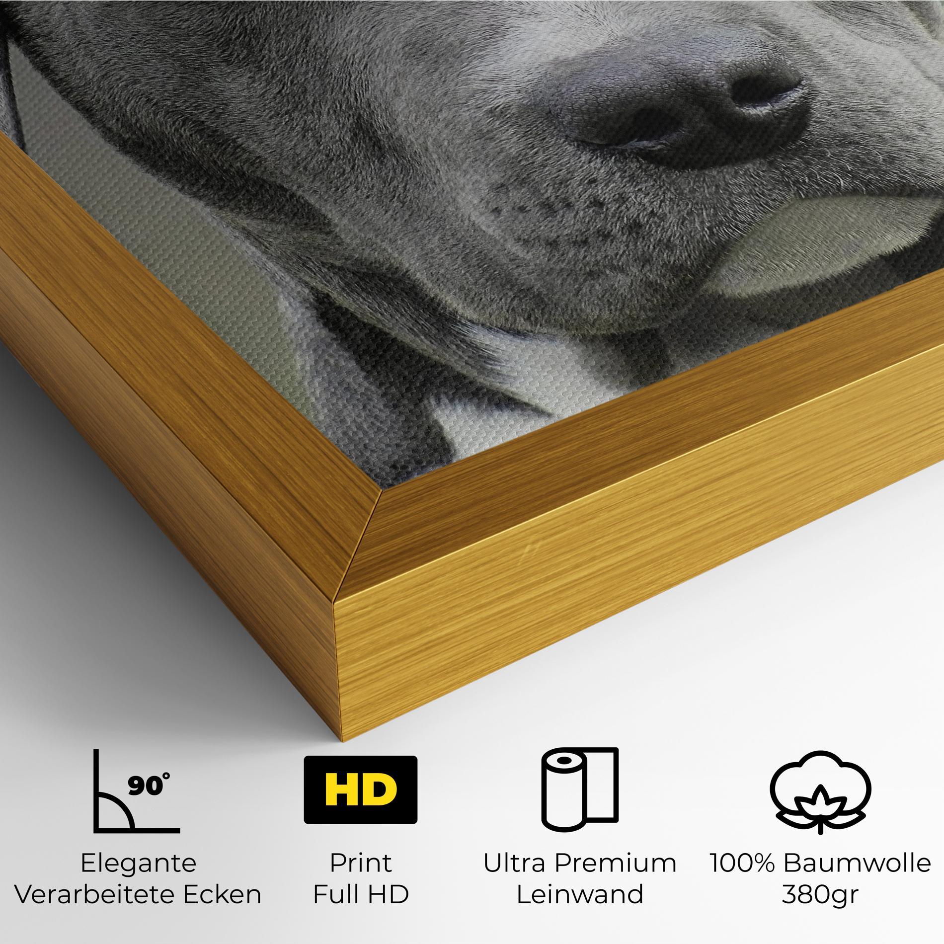 Leinwandbild Blue Eyes Dog mockup 4