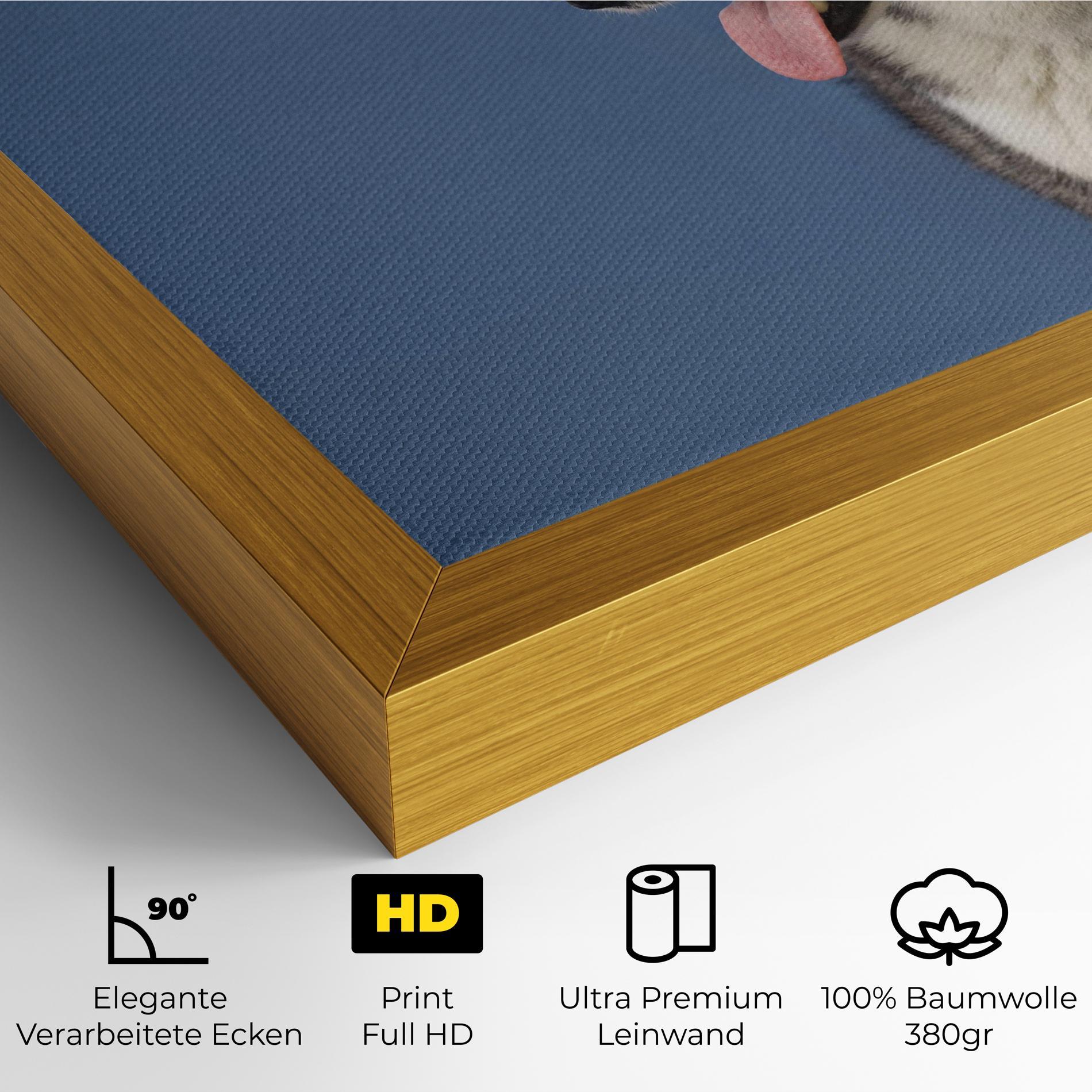 Leinwandbild Blue Glasses Dog mockup 4