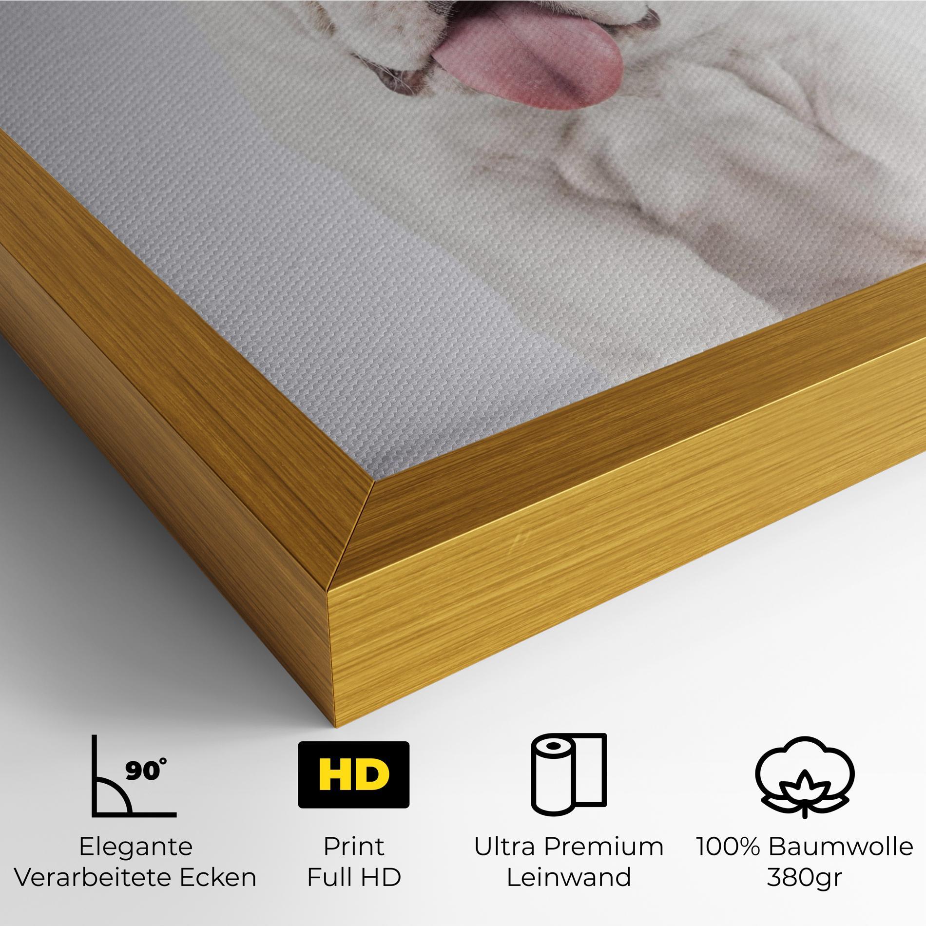 Leinwandbild English Bulldog mockup 4