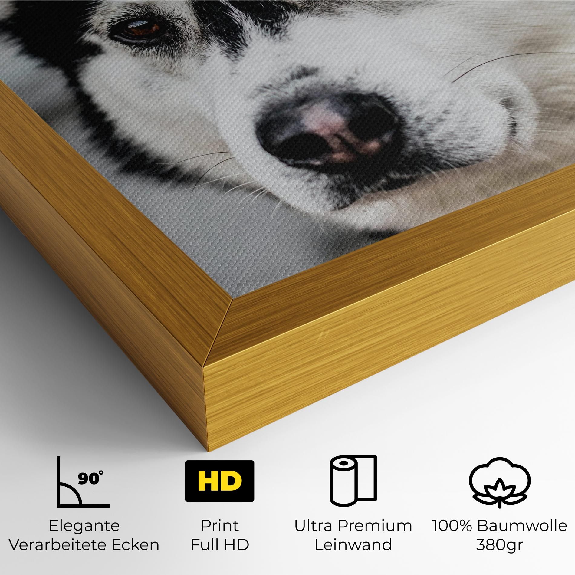 Husky Dog mockup 4