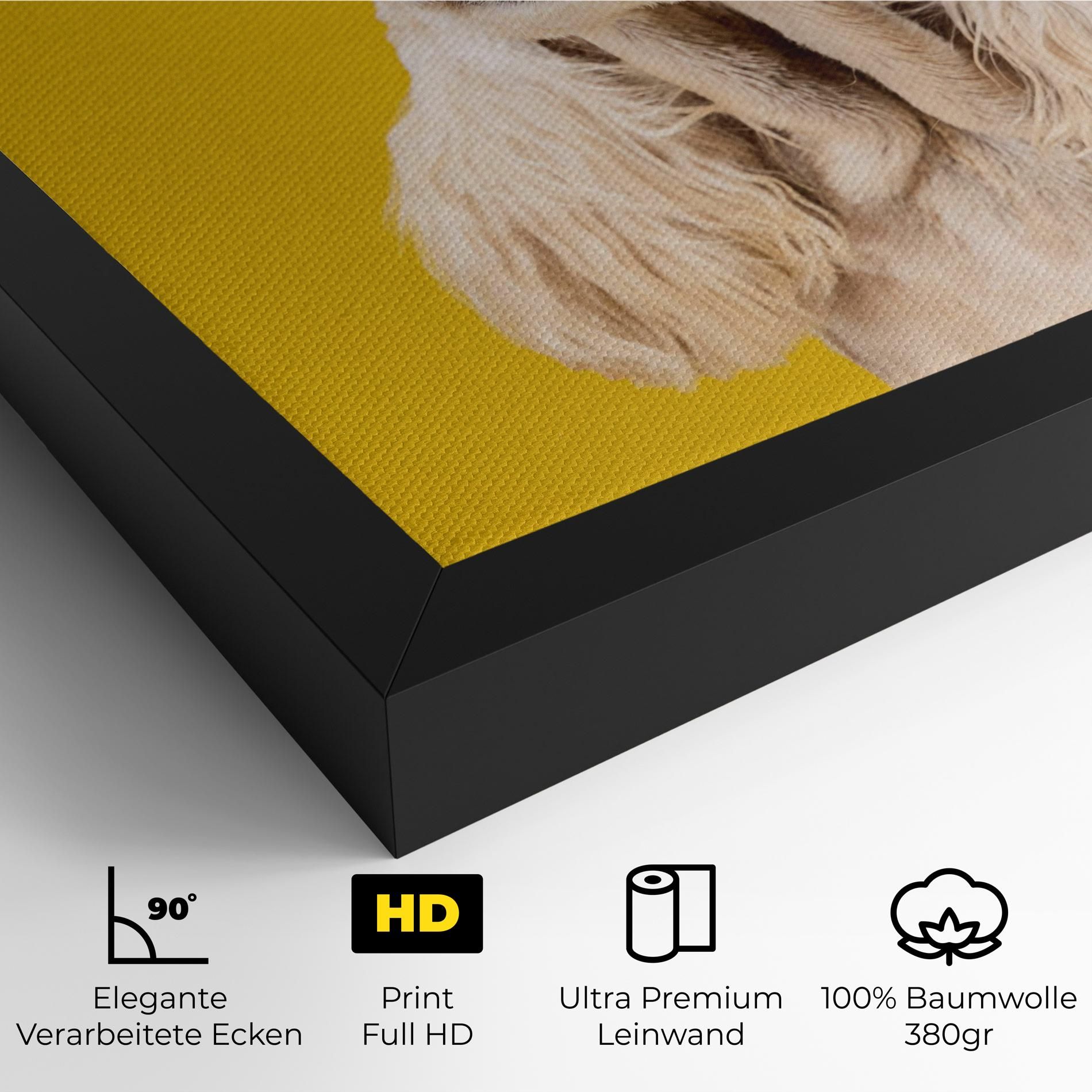 American Spaniel mockup 4