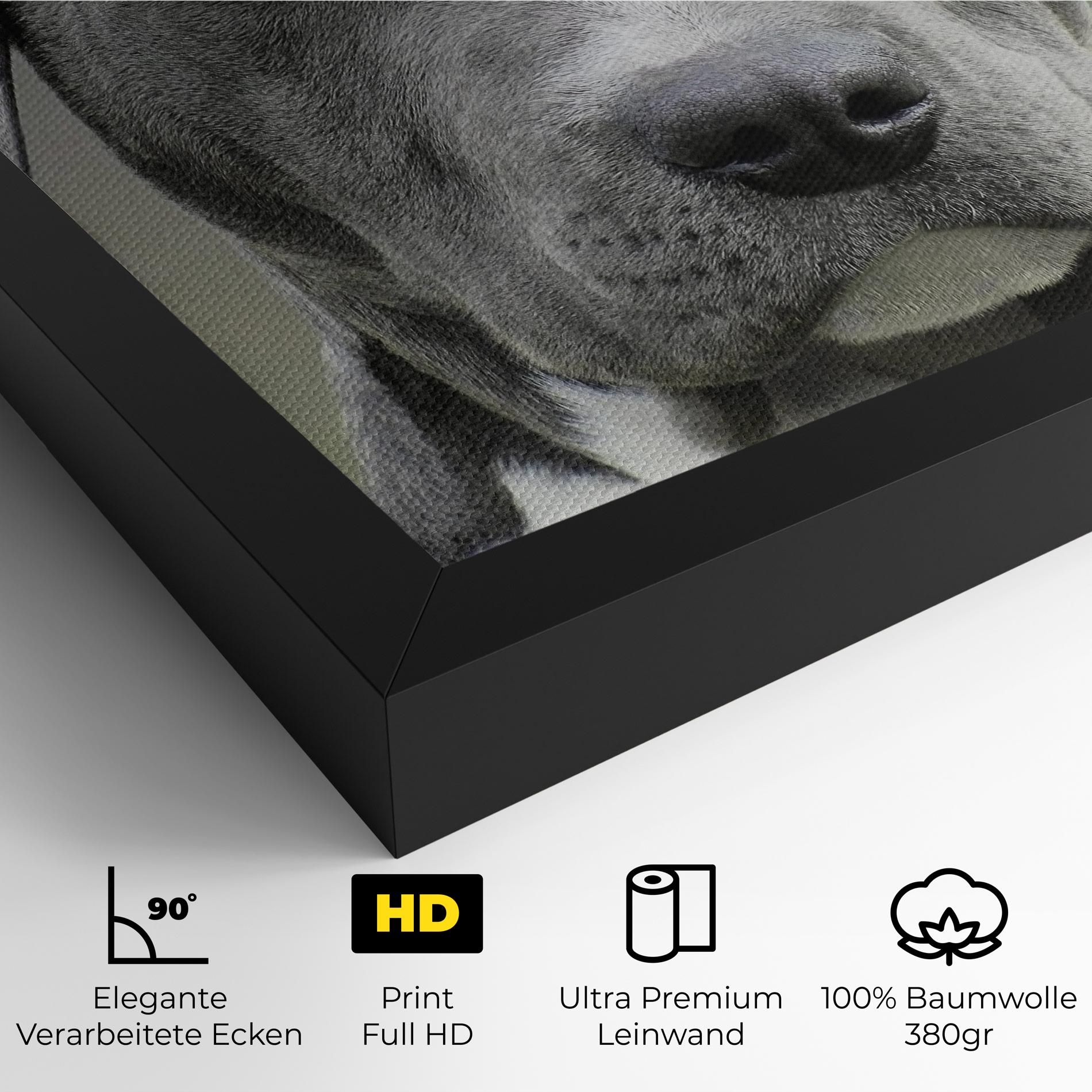 Blue Eyes Dog mockup 4