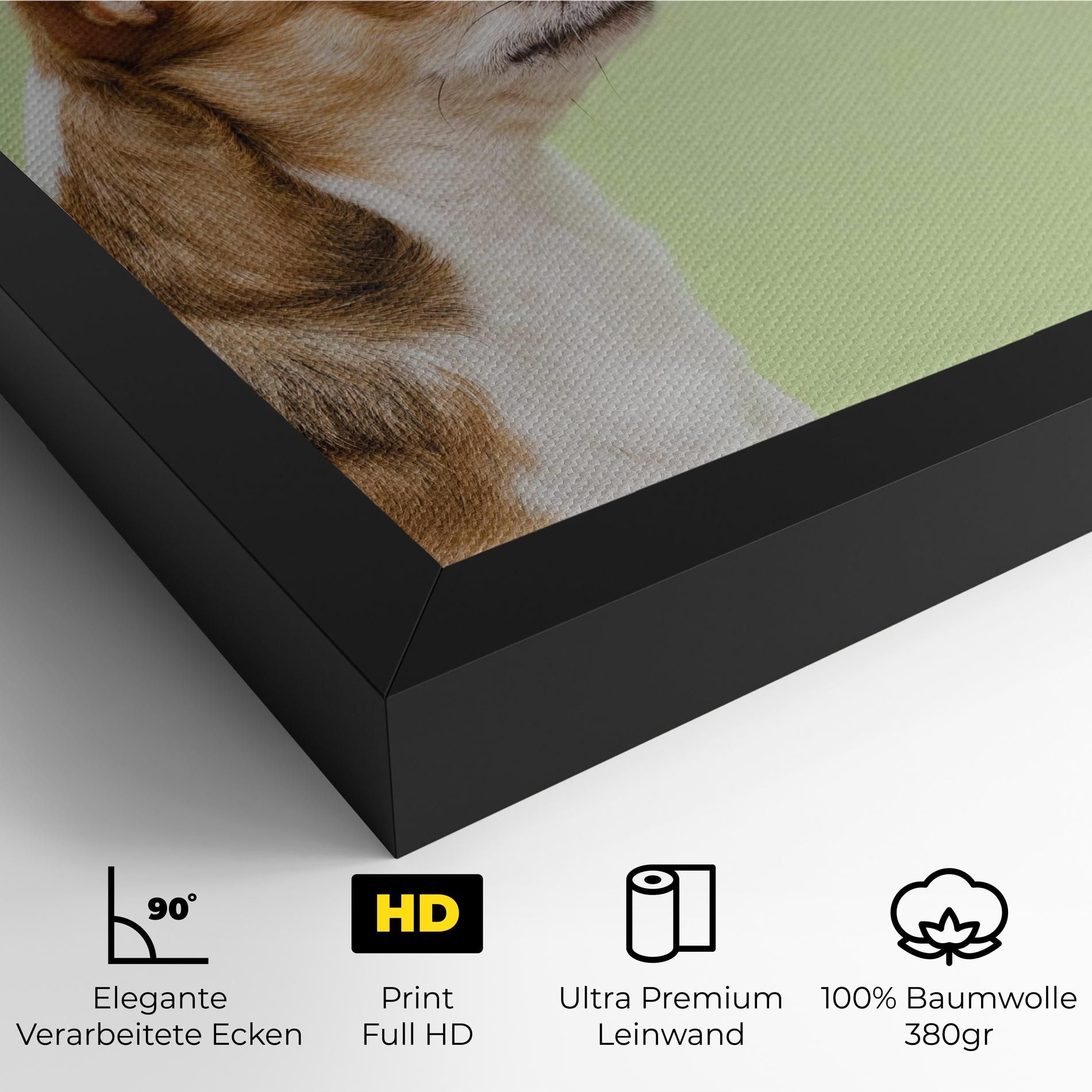 Chihuahua Dog mockup 4