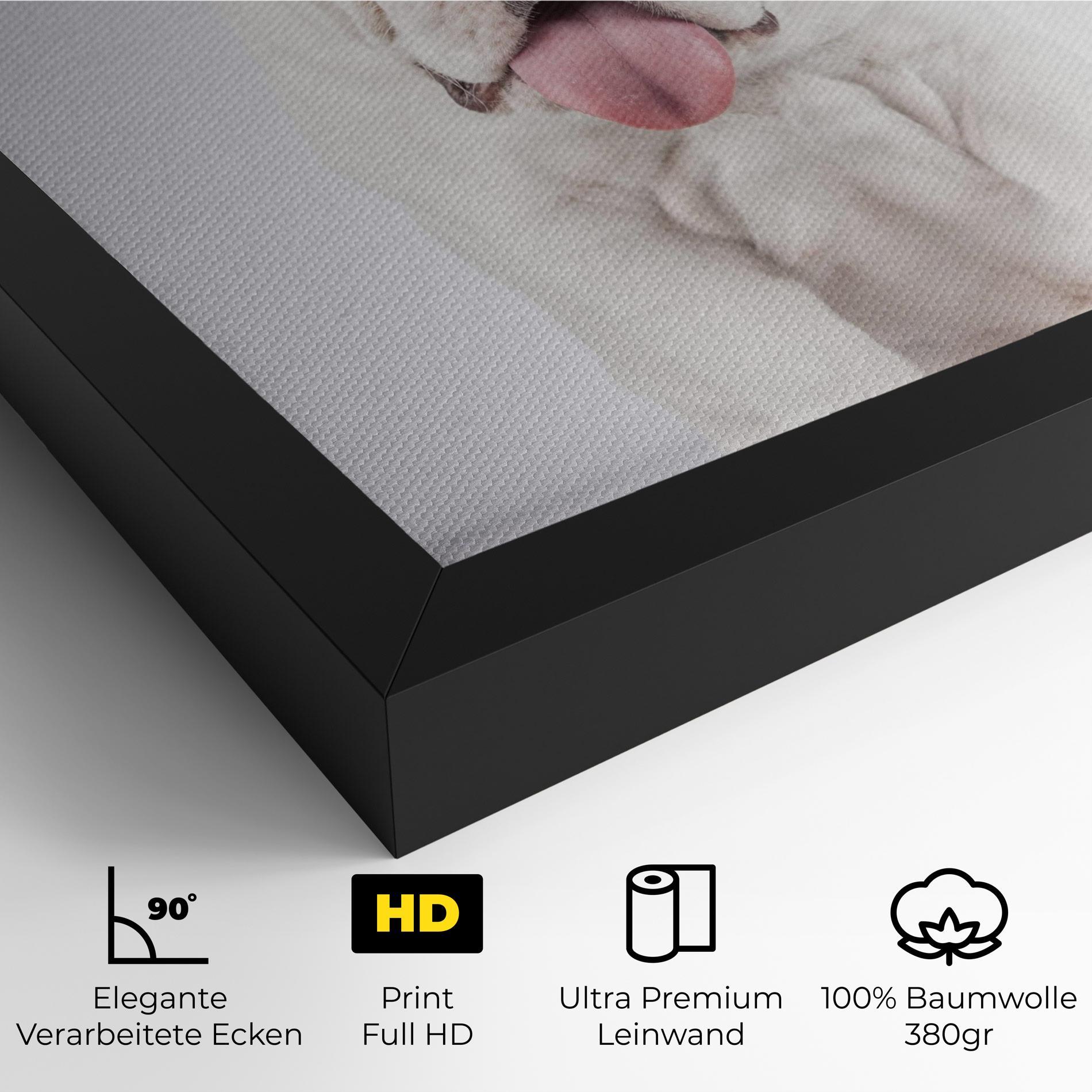 Leinwandbild English Bulldog mockup 4