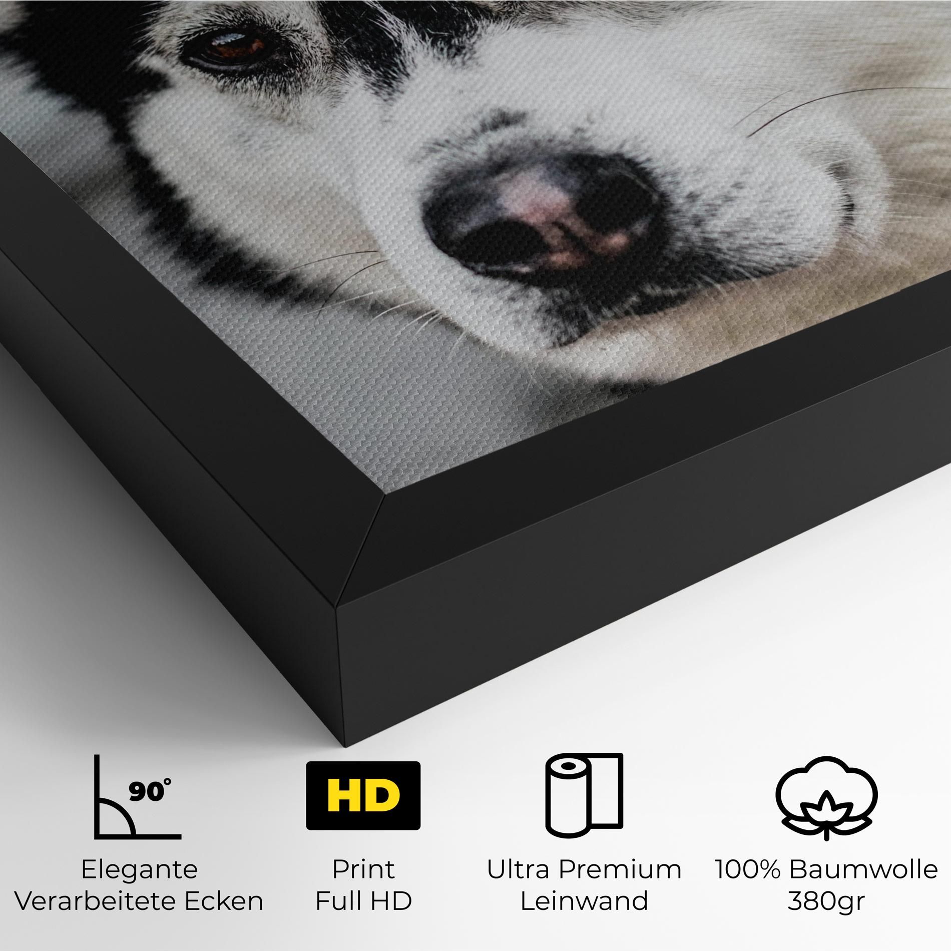 Husky Dog mockup 4