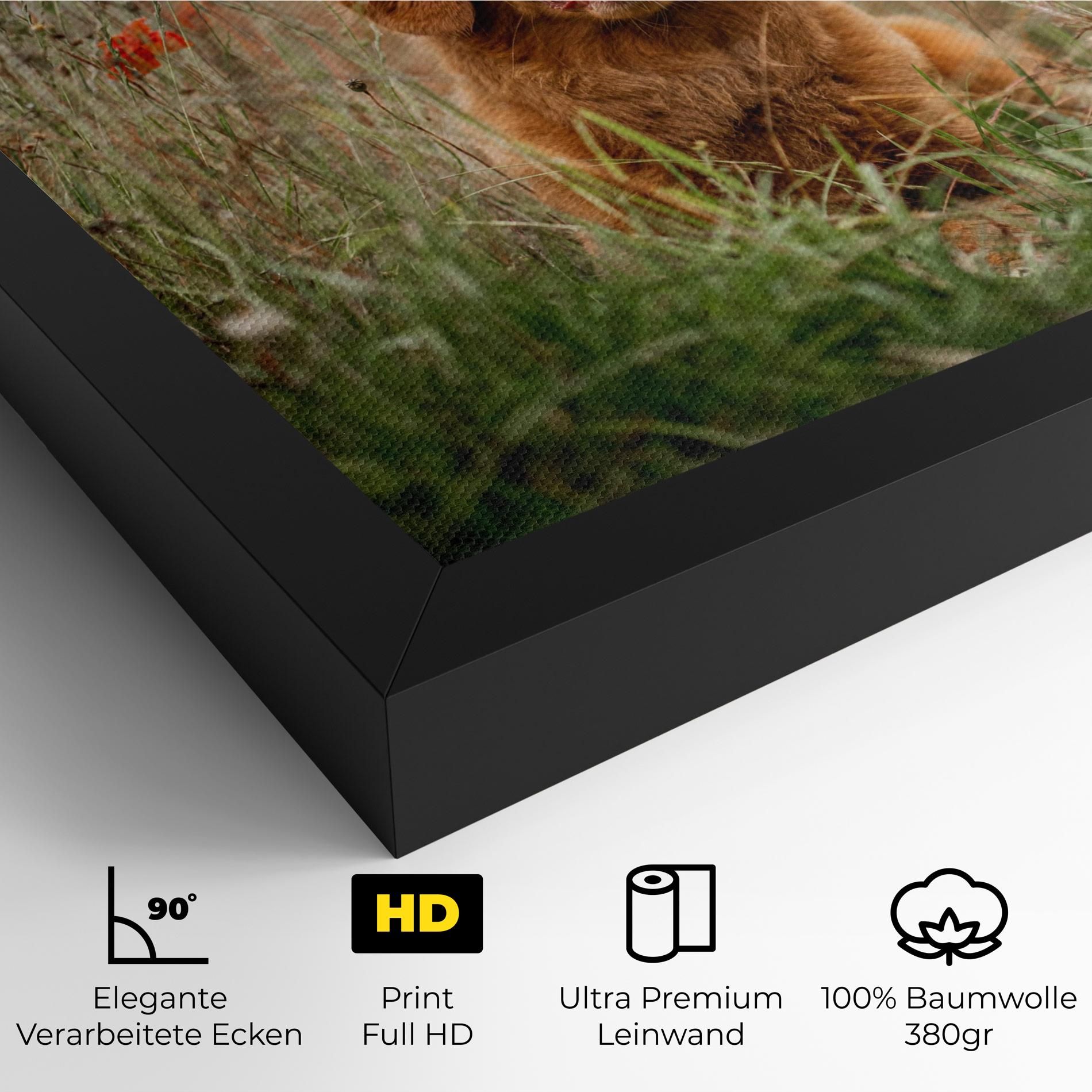Red Flowers Dog mockup 4