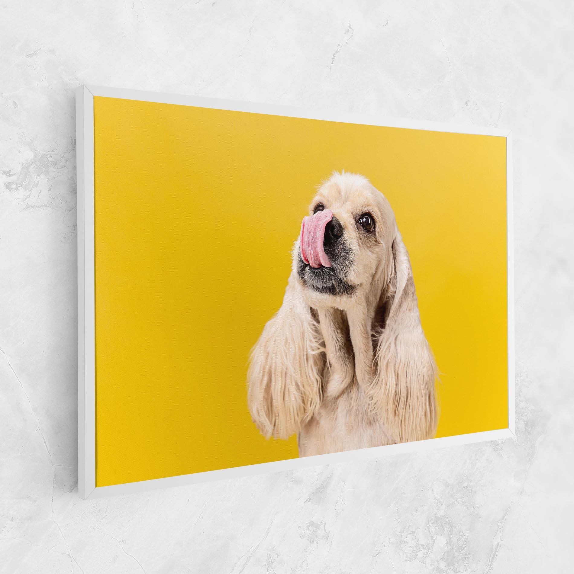 Leinwandbild American Spaniel mockup 1