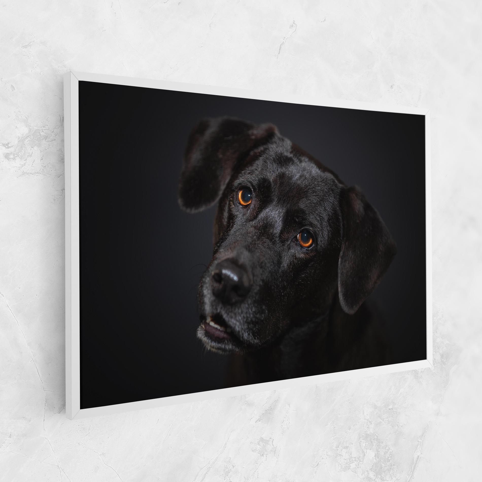 Black Dog Portrait mockup 1