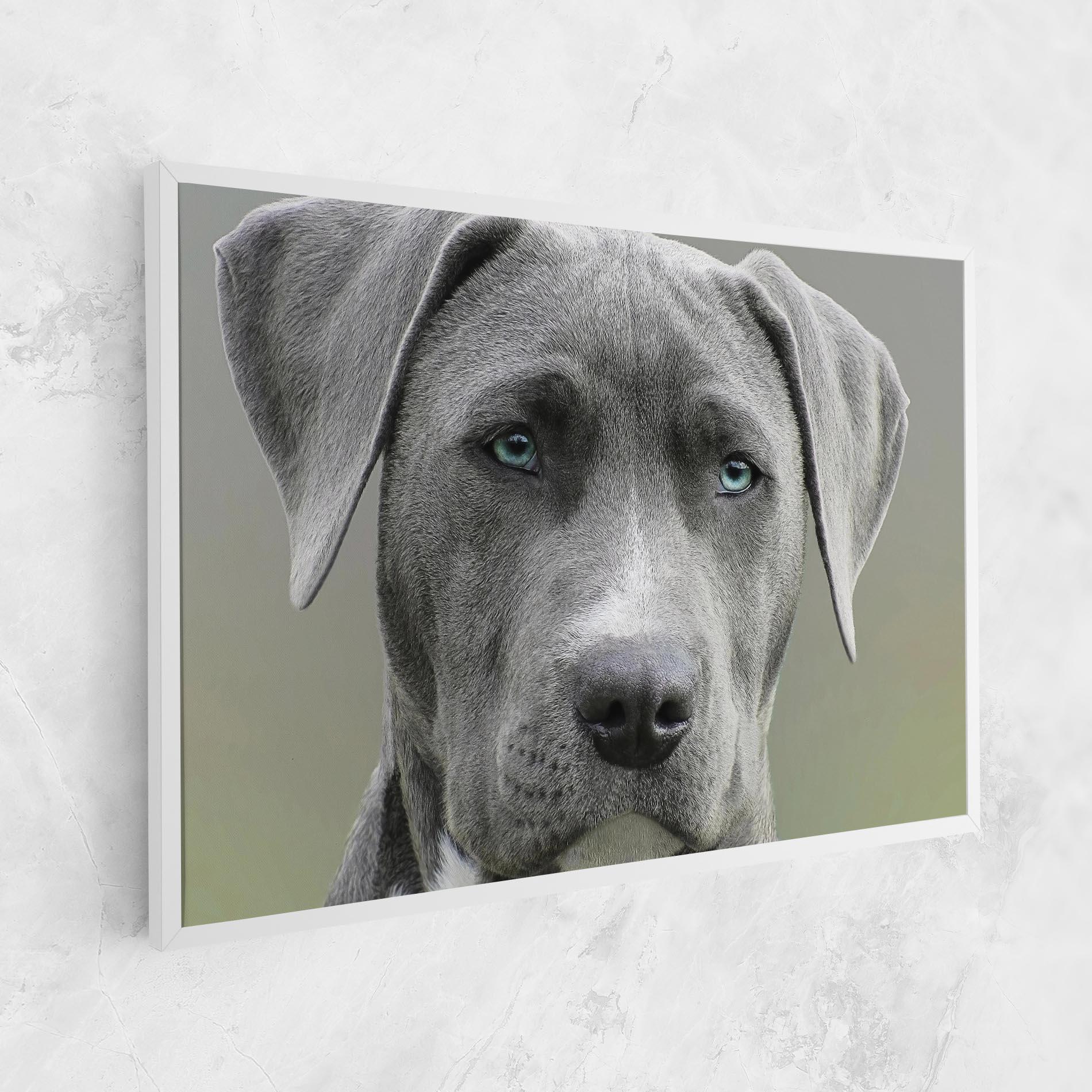 Leinwandbild Blue Eyes Dog mockup 1