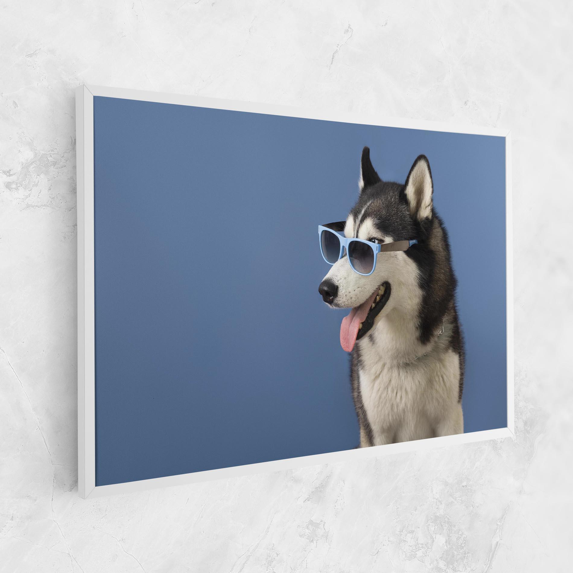 Leinwandbild Blue Glasses Dog mockup 1