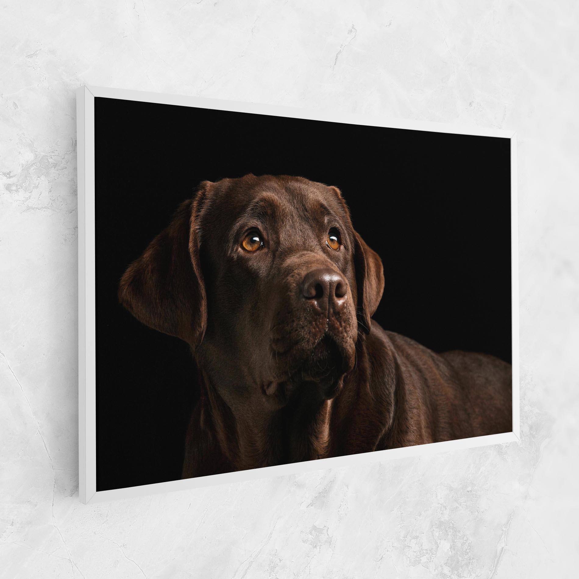 Leinwandbild Brown Labrador mockup 1