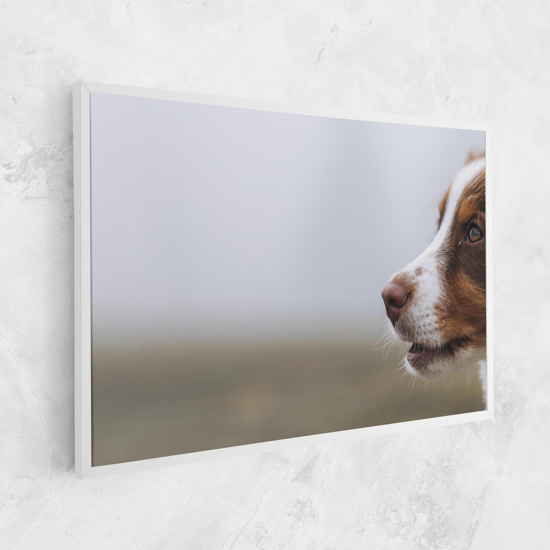 Leinwandbild Brown White Dog mockup 1