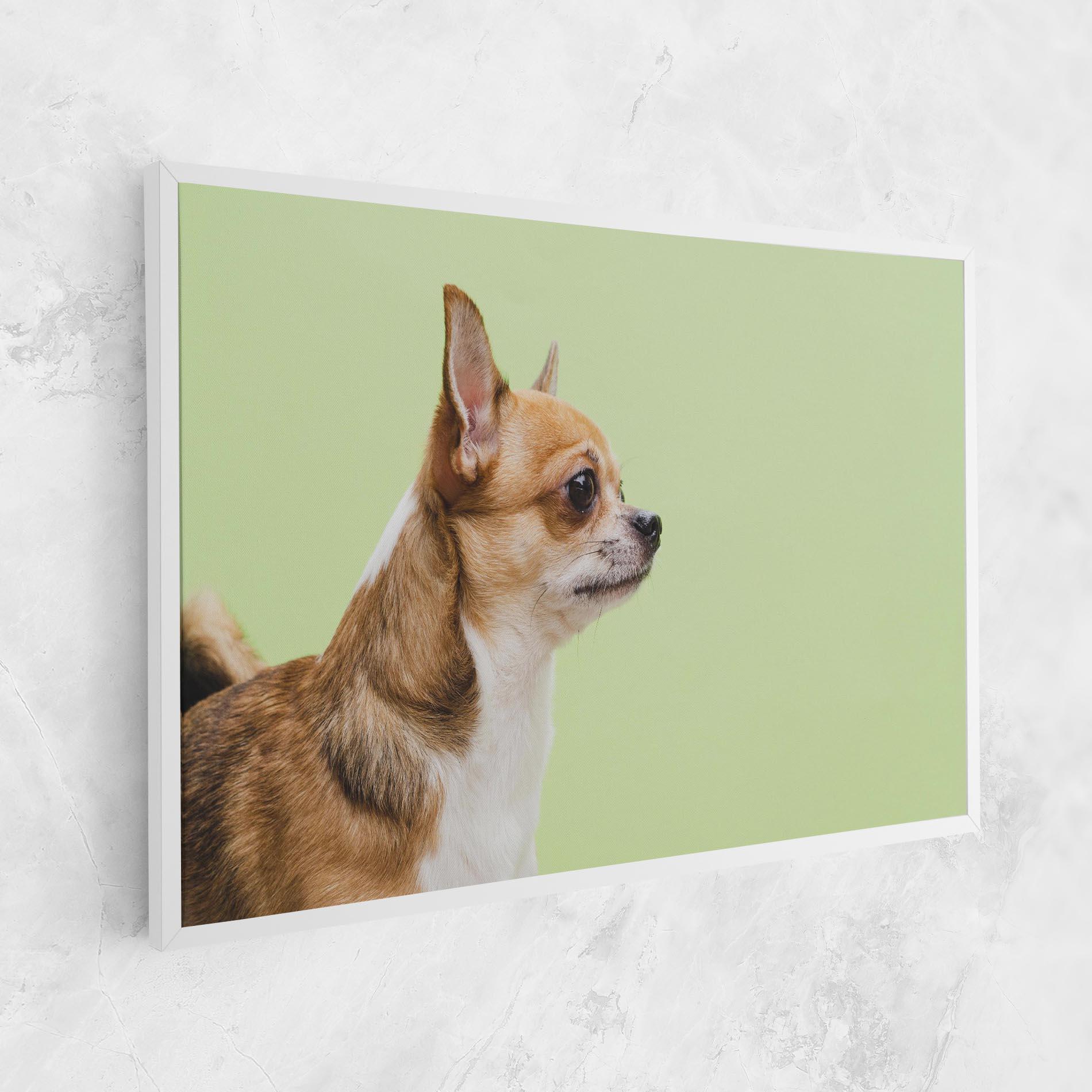 Leinwandbild Chihuahua Dog mockup 1