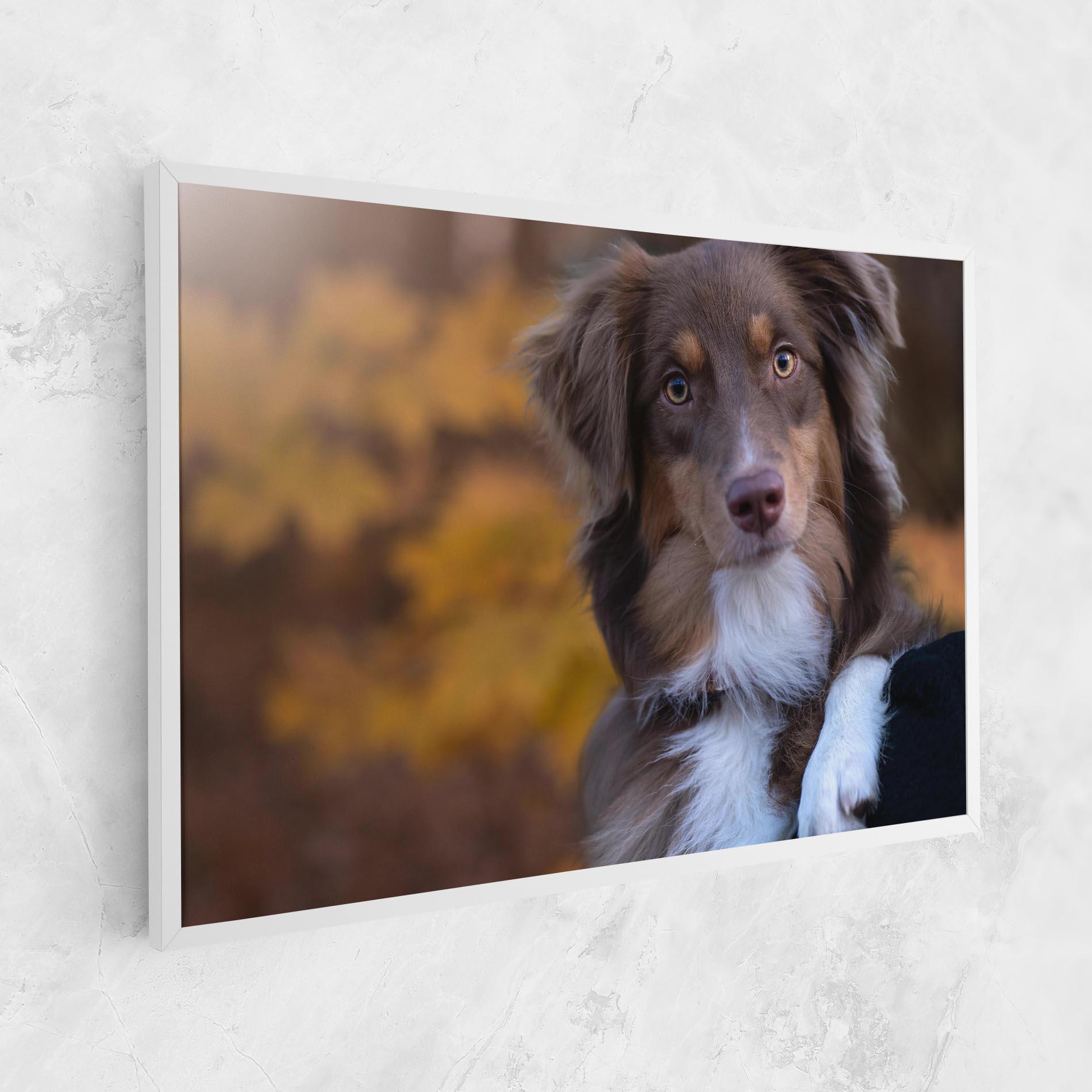 Leinwandbild Coffee Brown Dog mockup 1