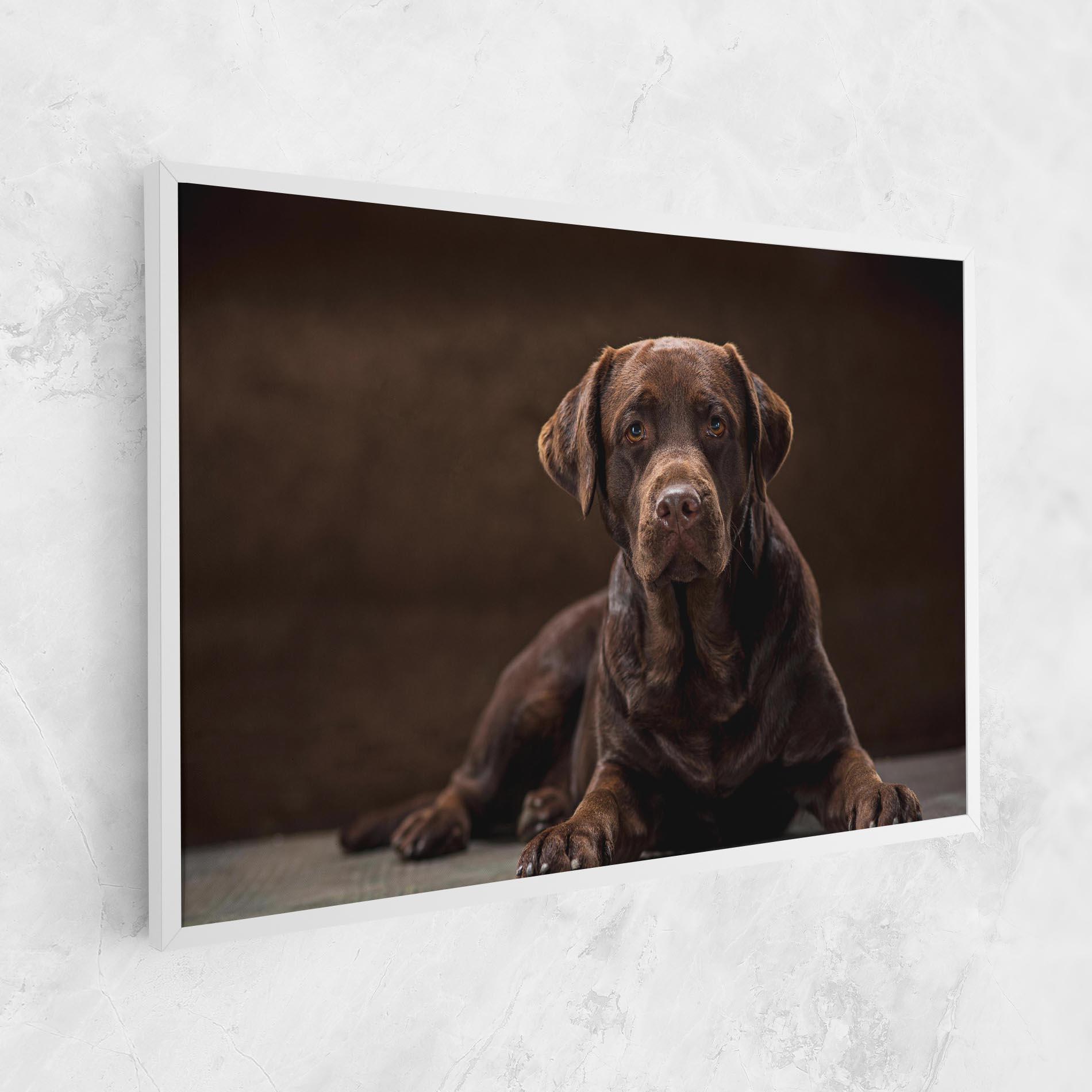 Leinwandbild Cute Brown Labrador mockup 1