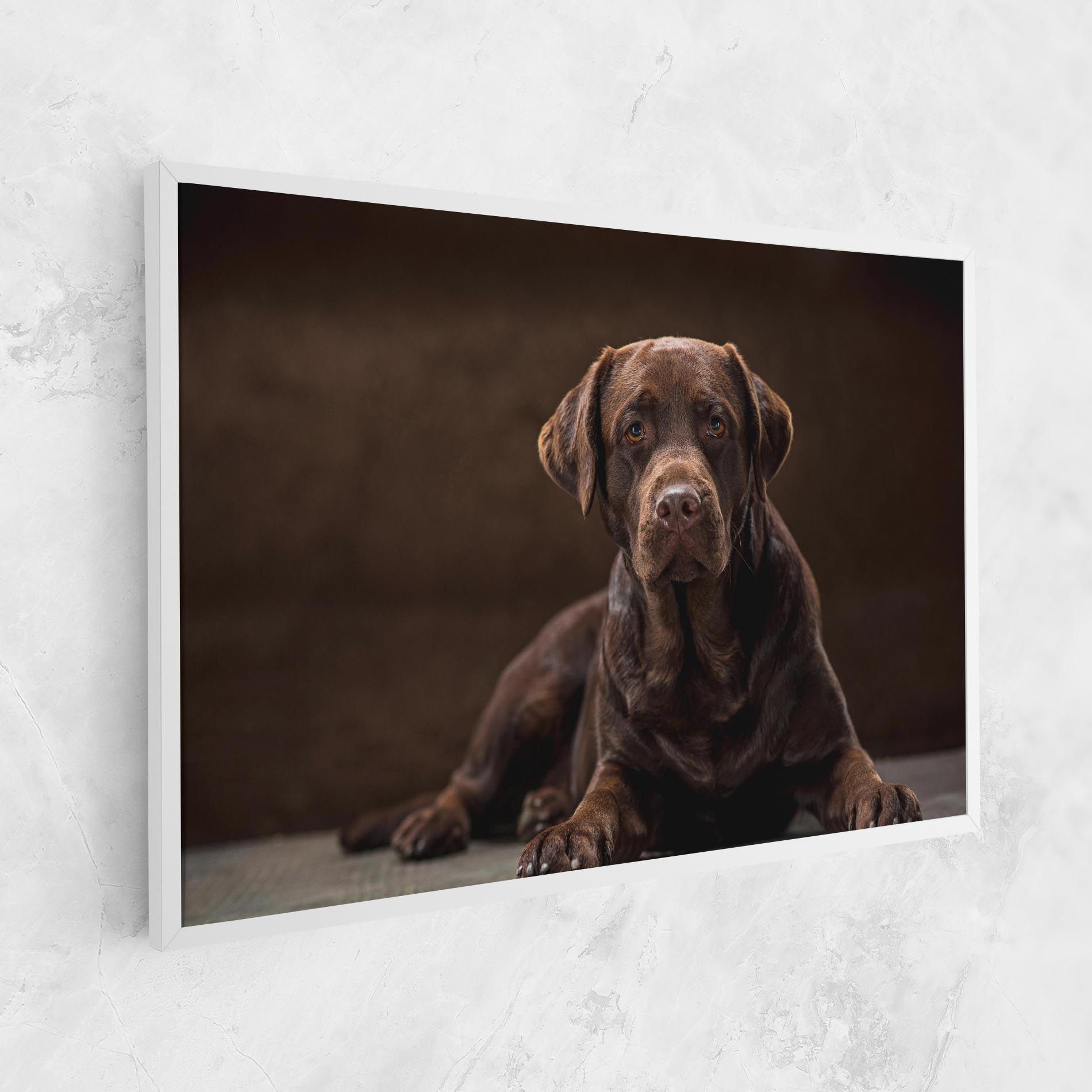 Cute  Brown Labrador mockup 1